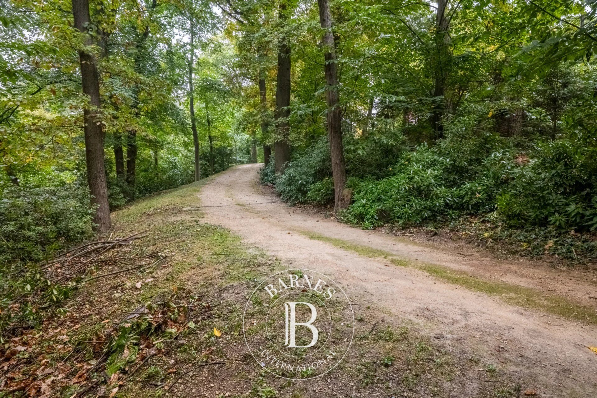 Versailles Clagny-Glatigny – Demeure de 2005 de 405m² - 5/6ch. – Garage double – Parc de 7000m² - picture 3