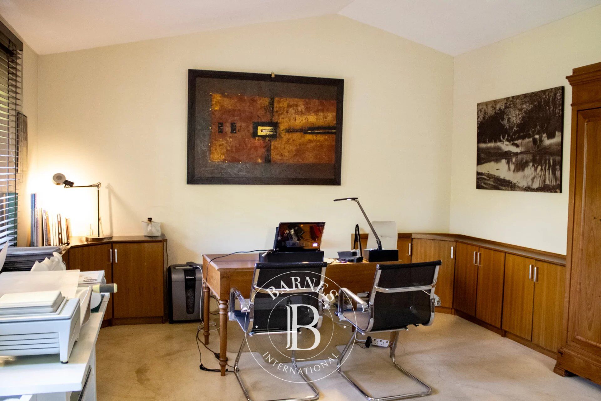 Ev Calodyne - picture 26