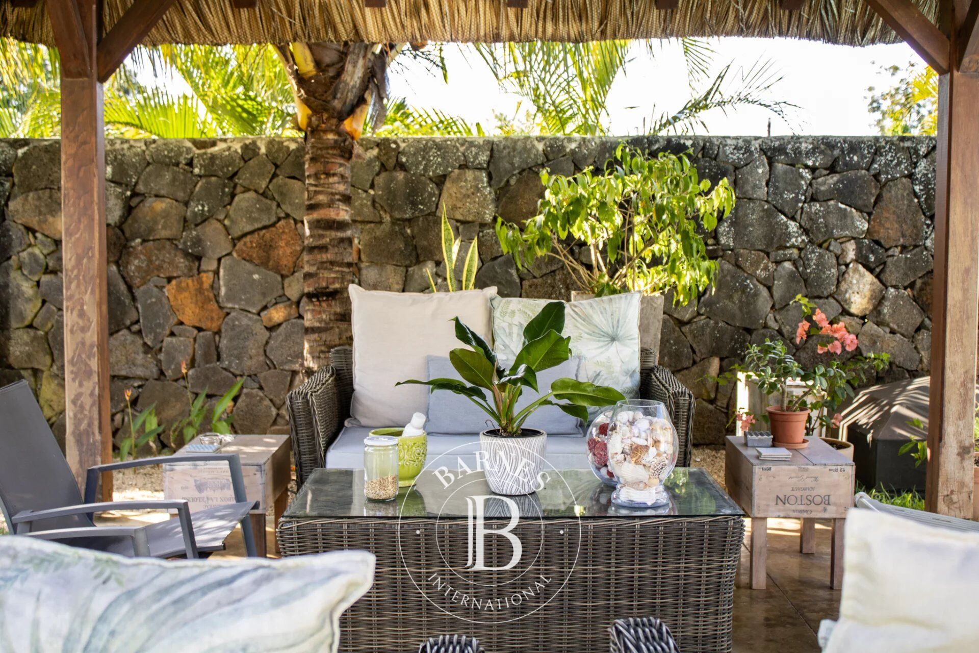 Ev Calodyne - picture 6