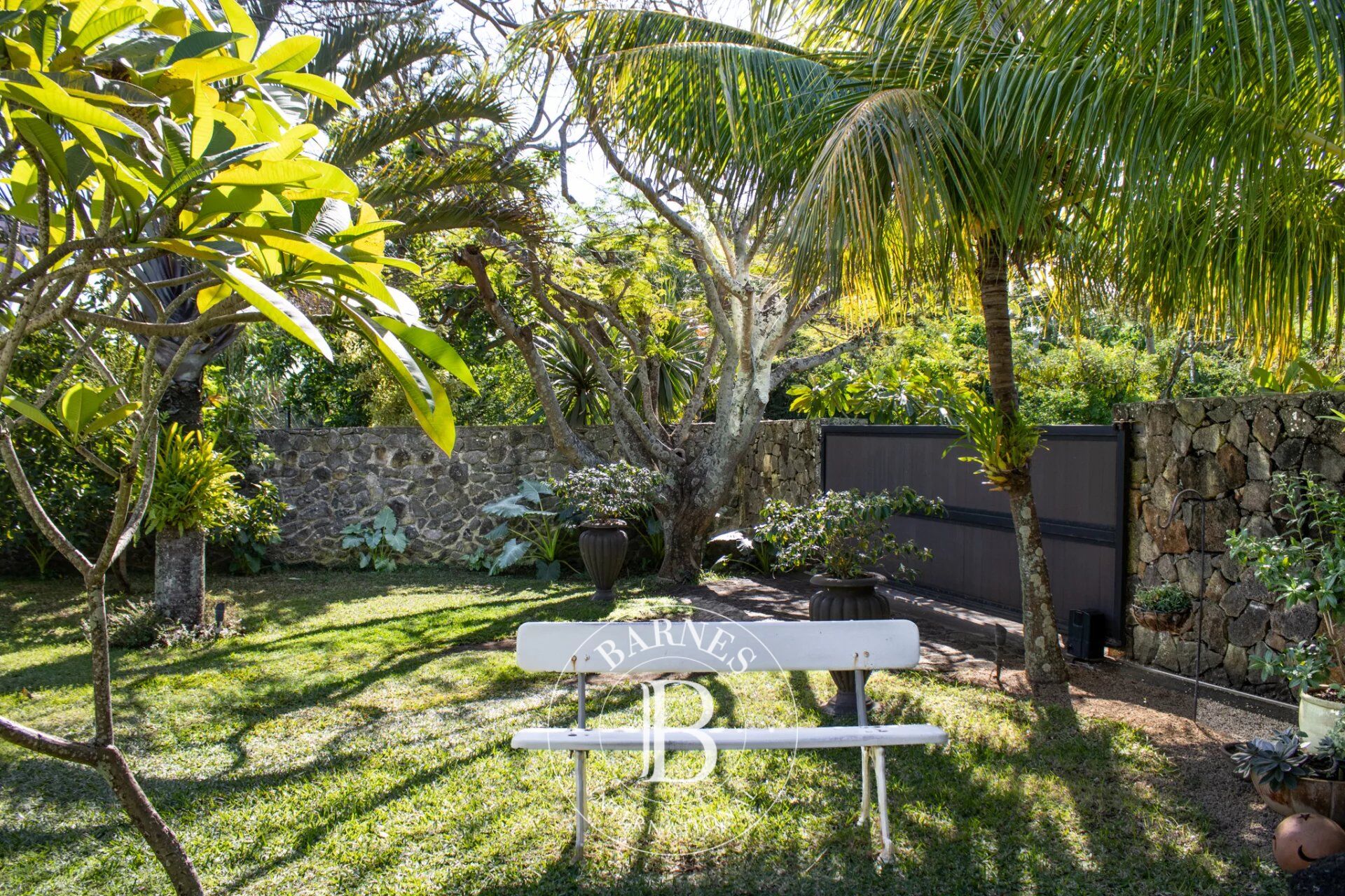 Ev Calodyne - picture 22