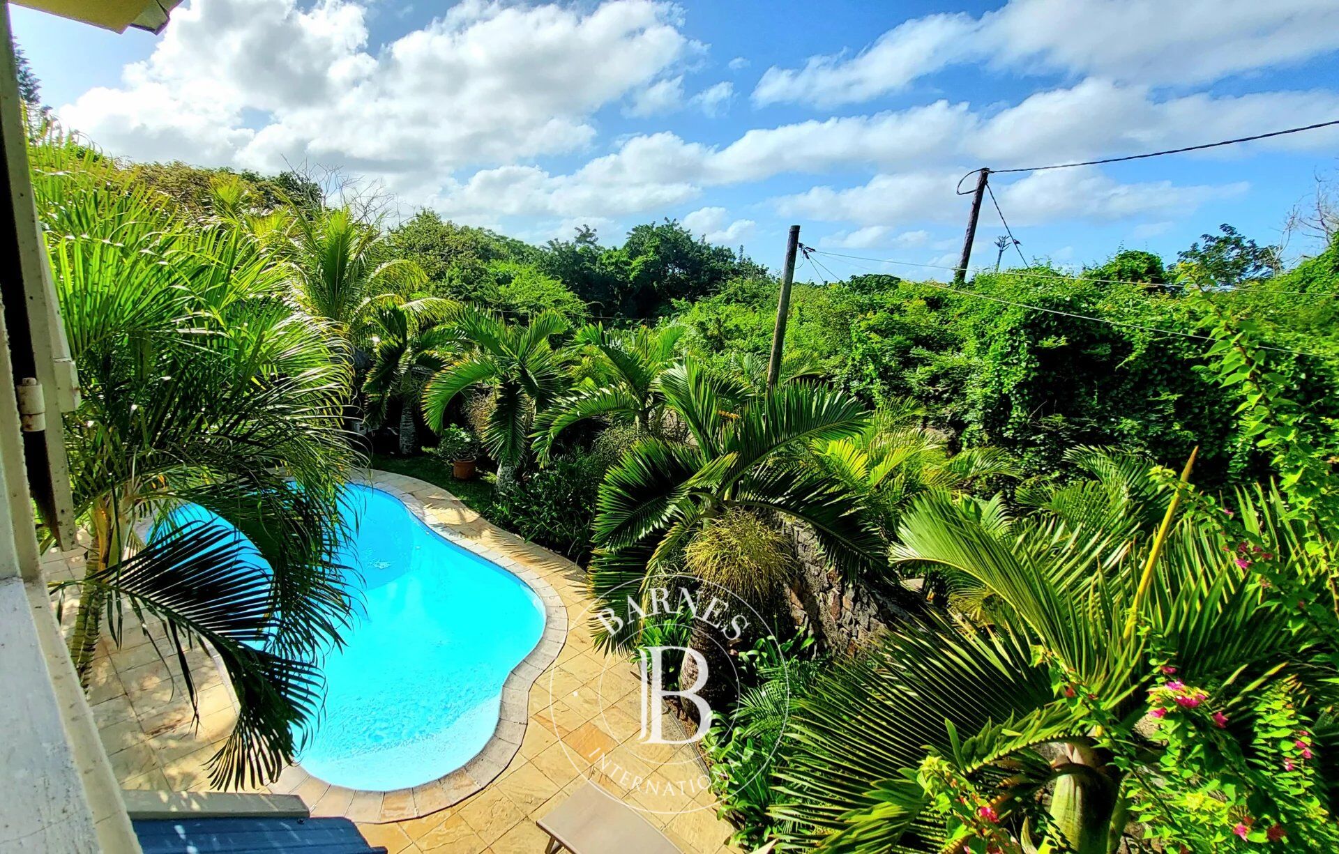 Ev Calodyne - picture 23