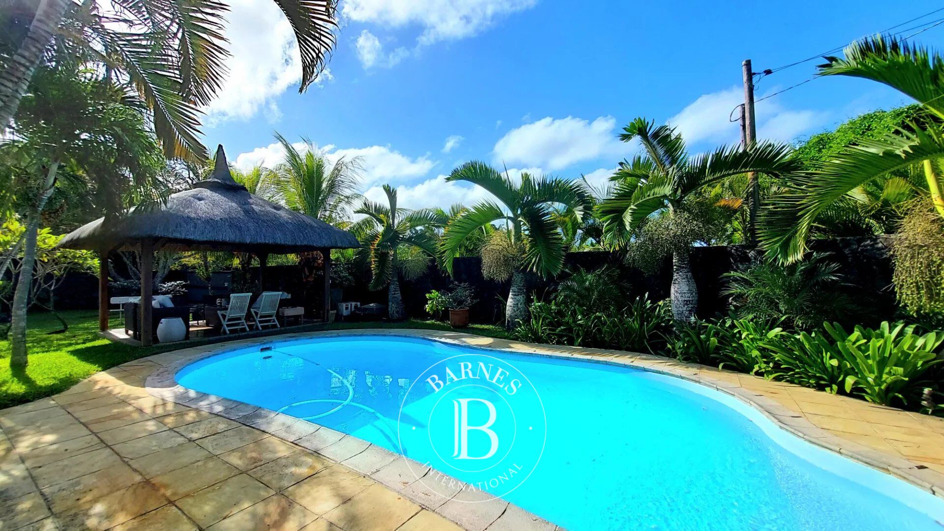 Ev Calodyne - picture 21