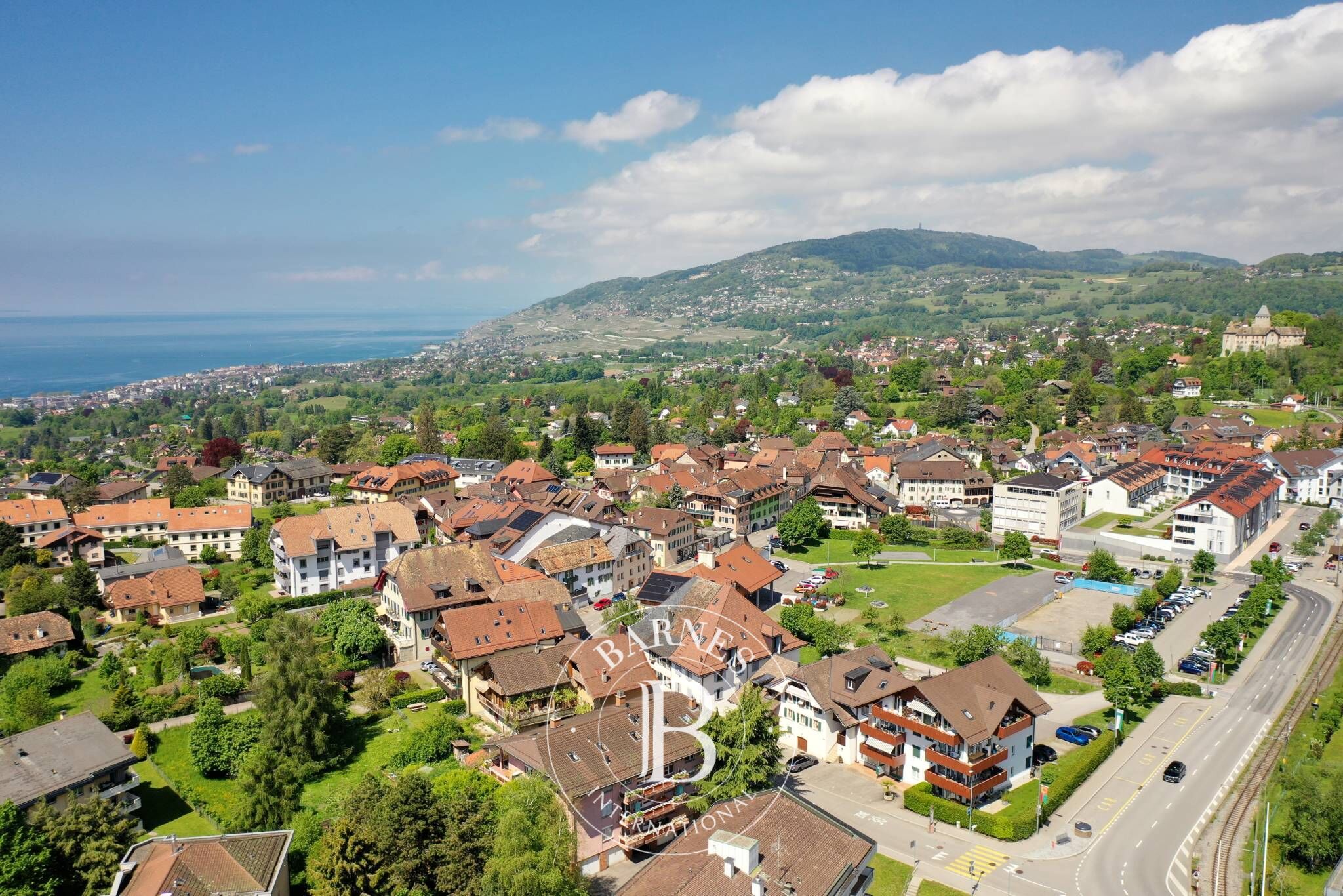 Daire Blonay - picture 9