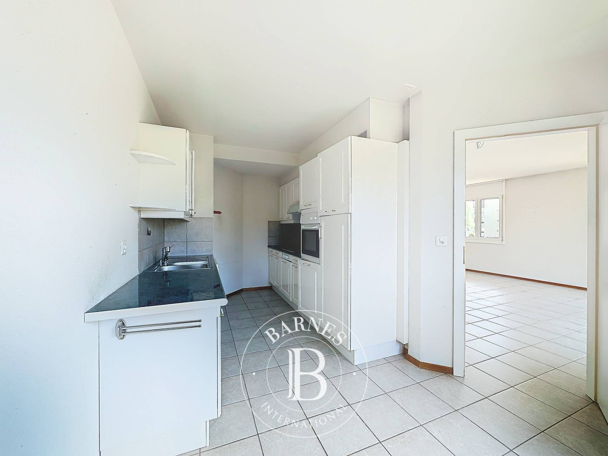 Daire Blonay - picture 6