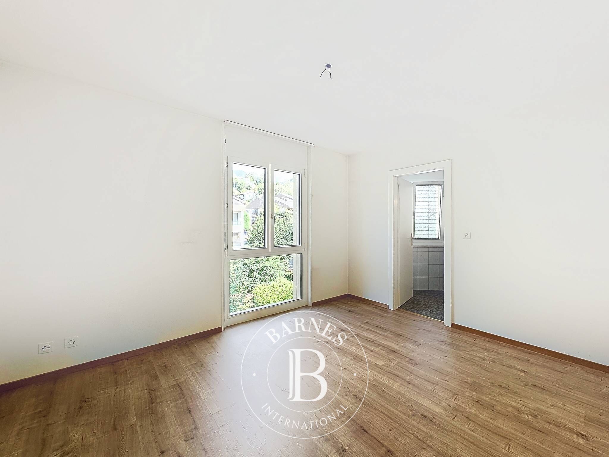 Daire Blonay - picture 10