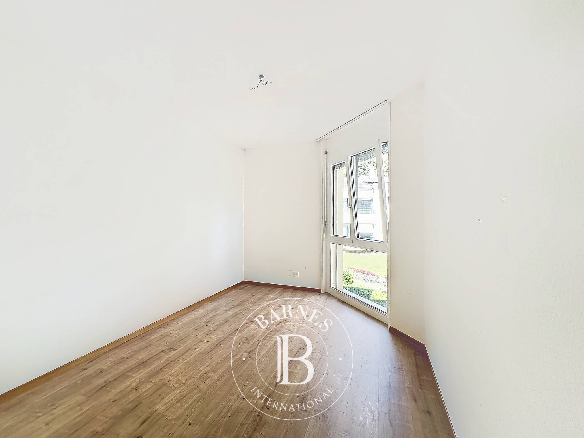 Daire Blonay - picture 4