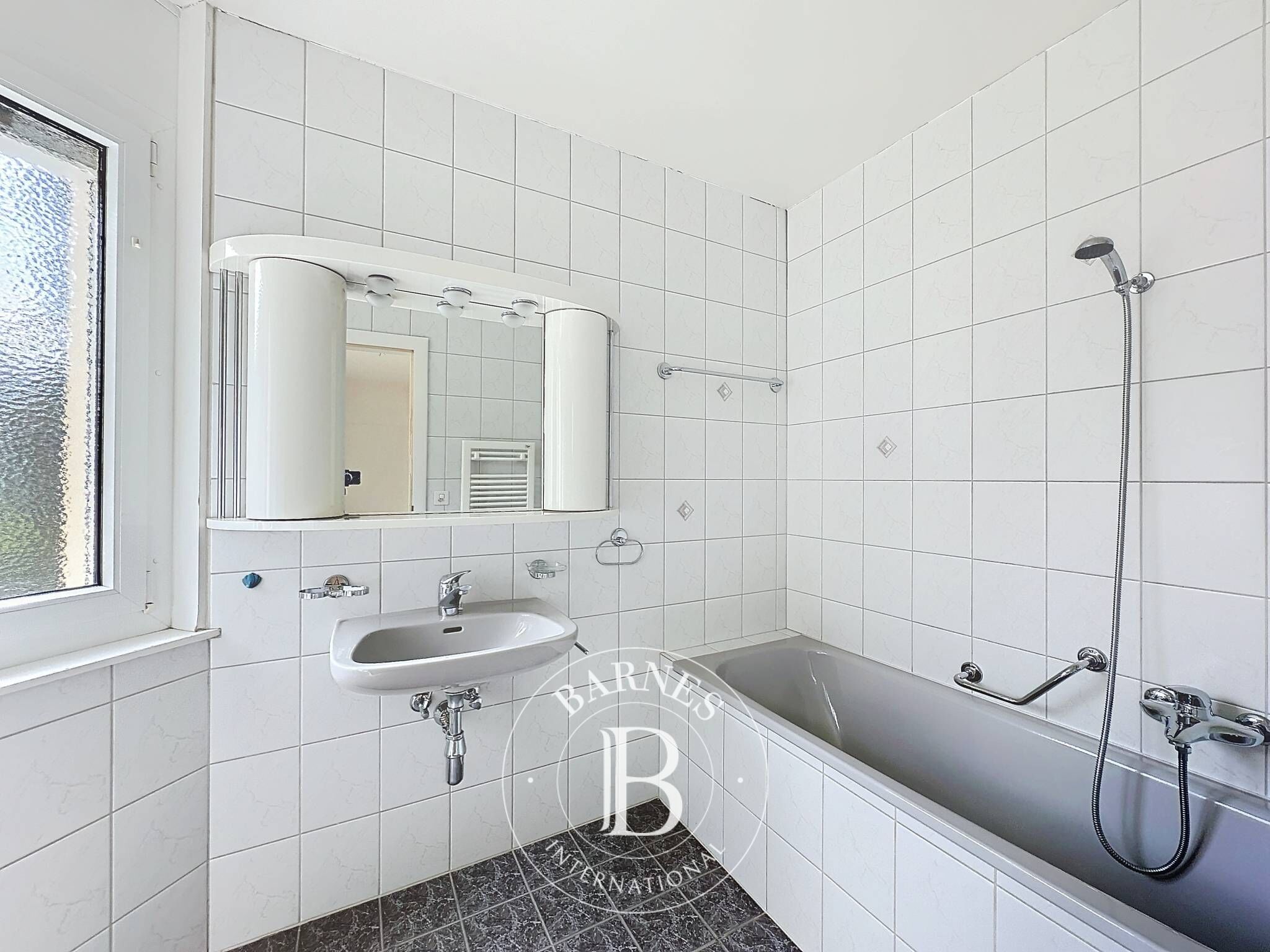 Daire Blonay - picture 14