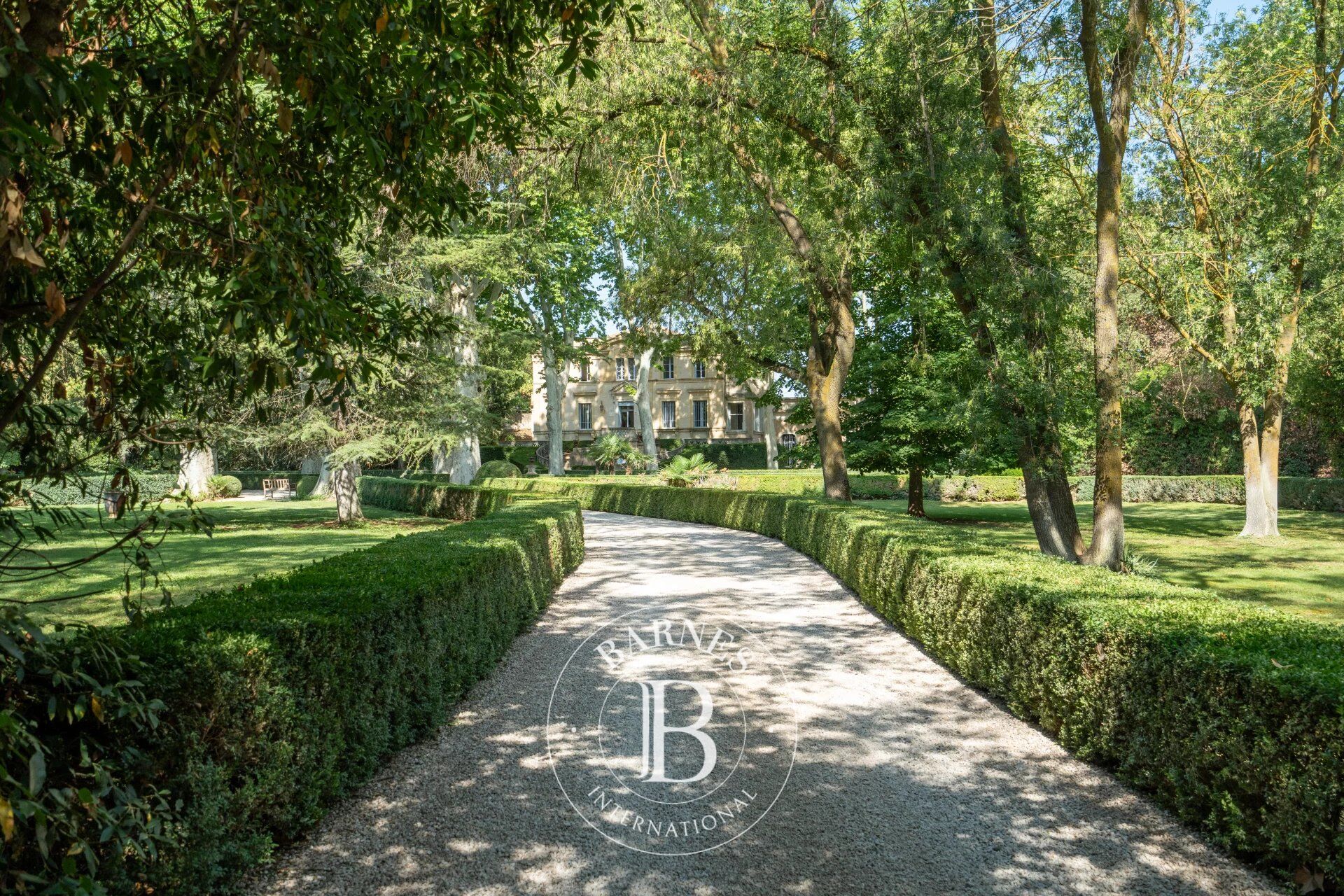 Castillo Servian - picture 2