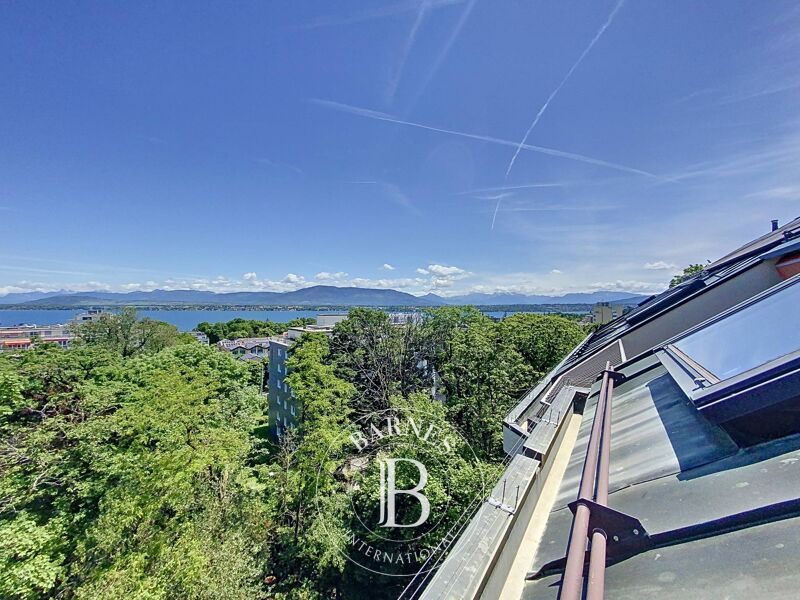 Penthouse Versoix