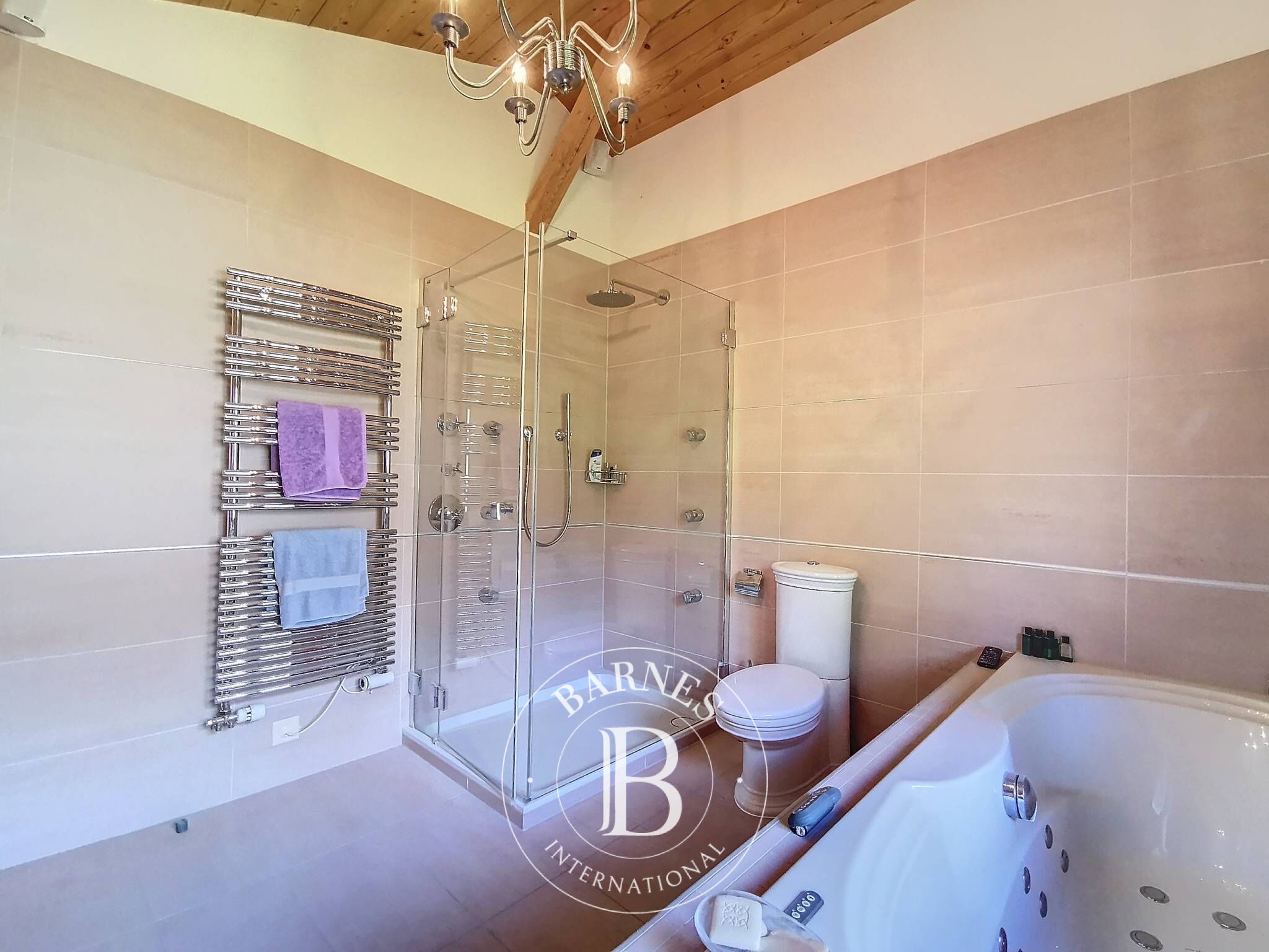 Villa Villars-sur-Ollon - picture 24