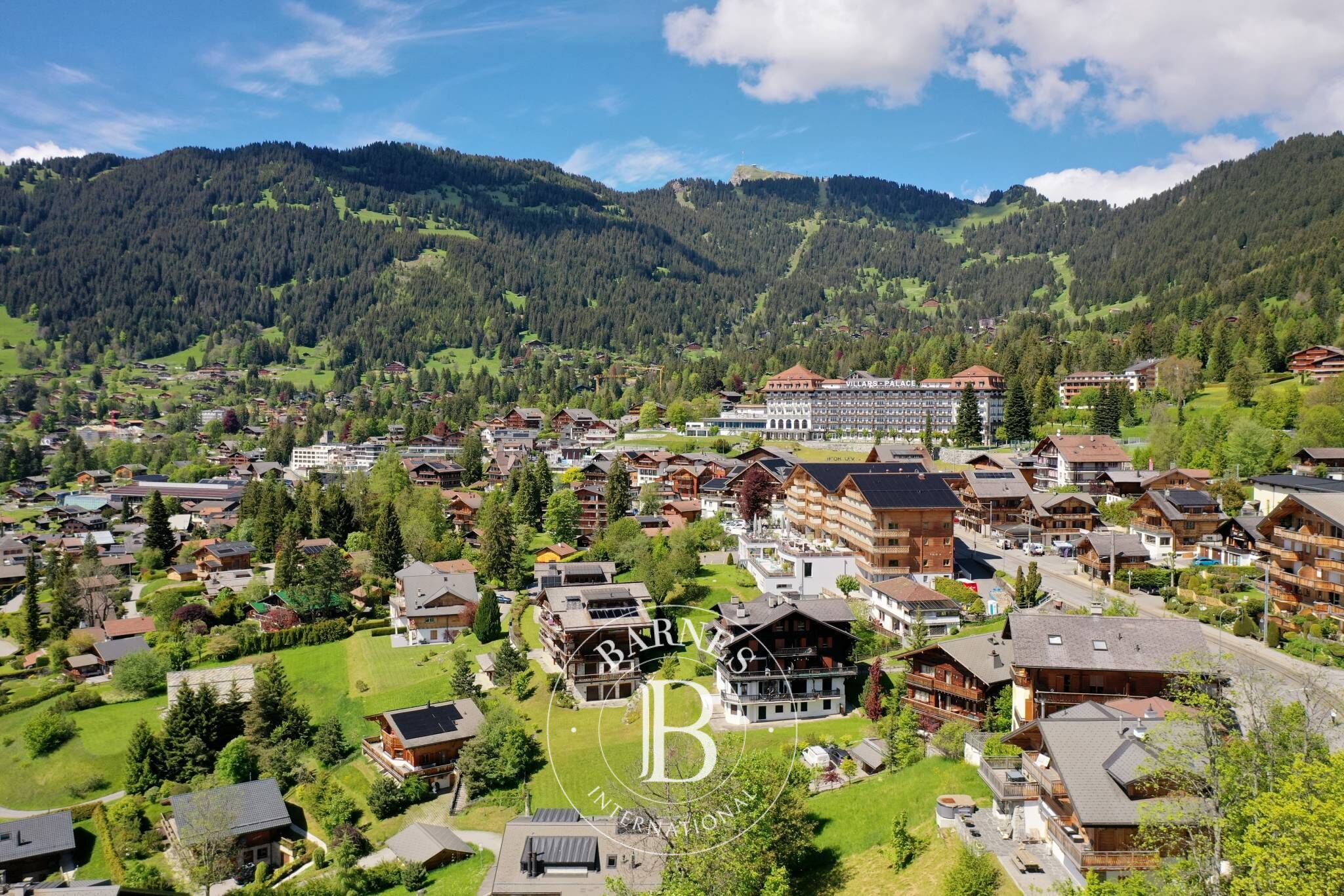 Villa Villars-sur-Ollon - picture 27