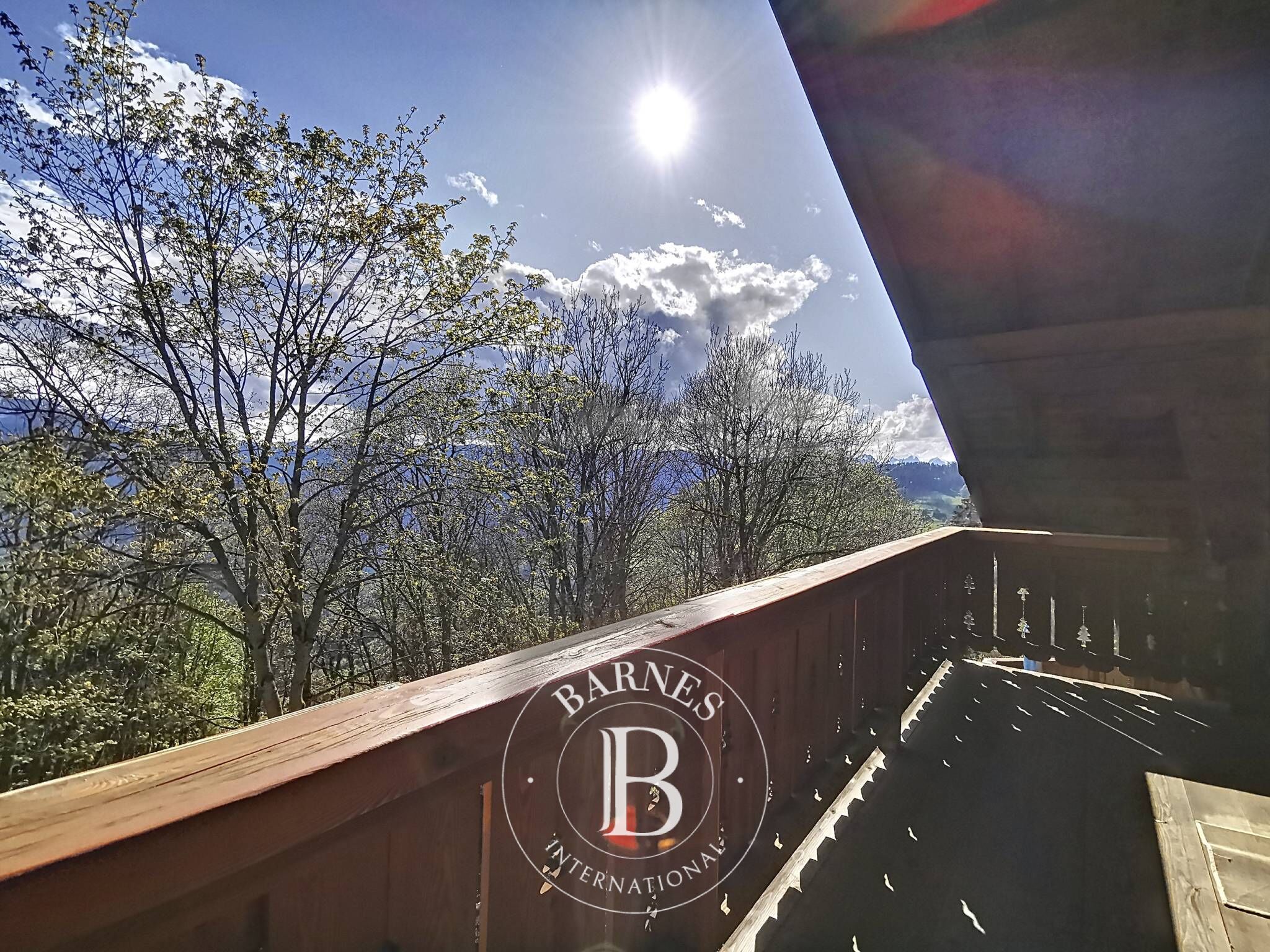 Villa Villars-sur-Ollon - picture 28