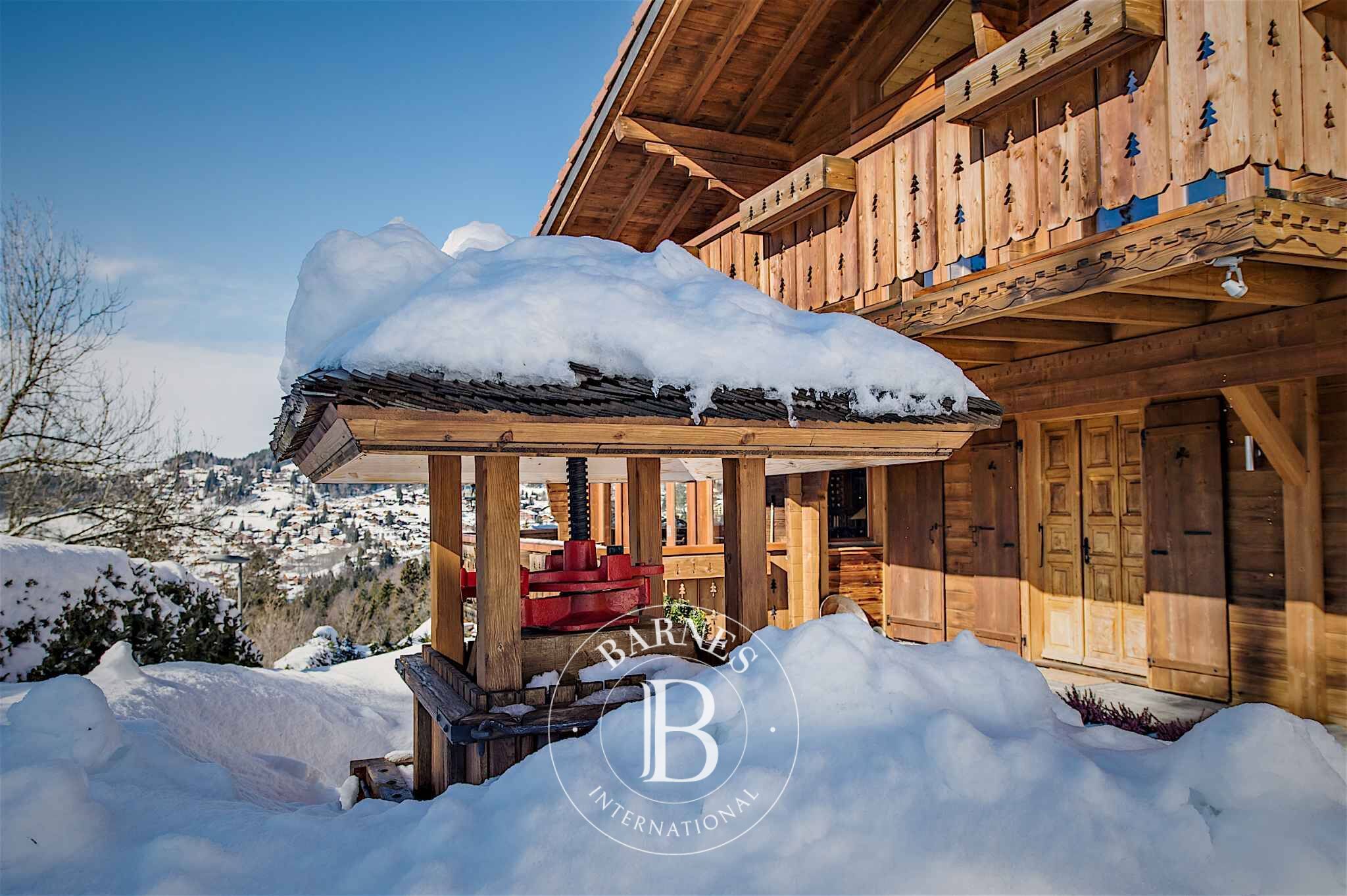 Villa Villars-sur-Ollon - picture 25