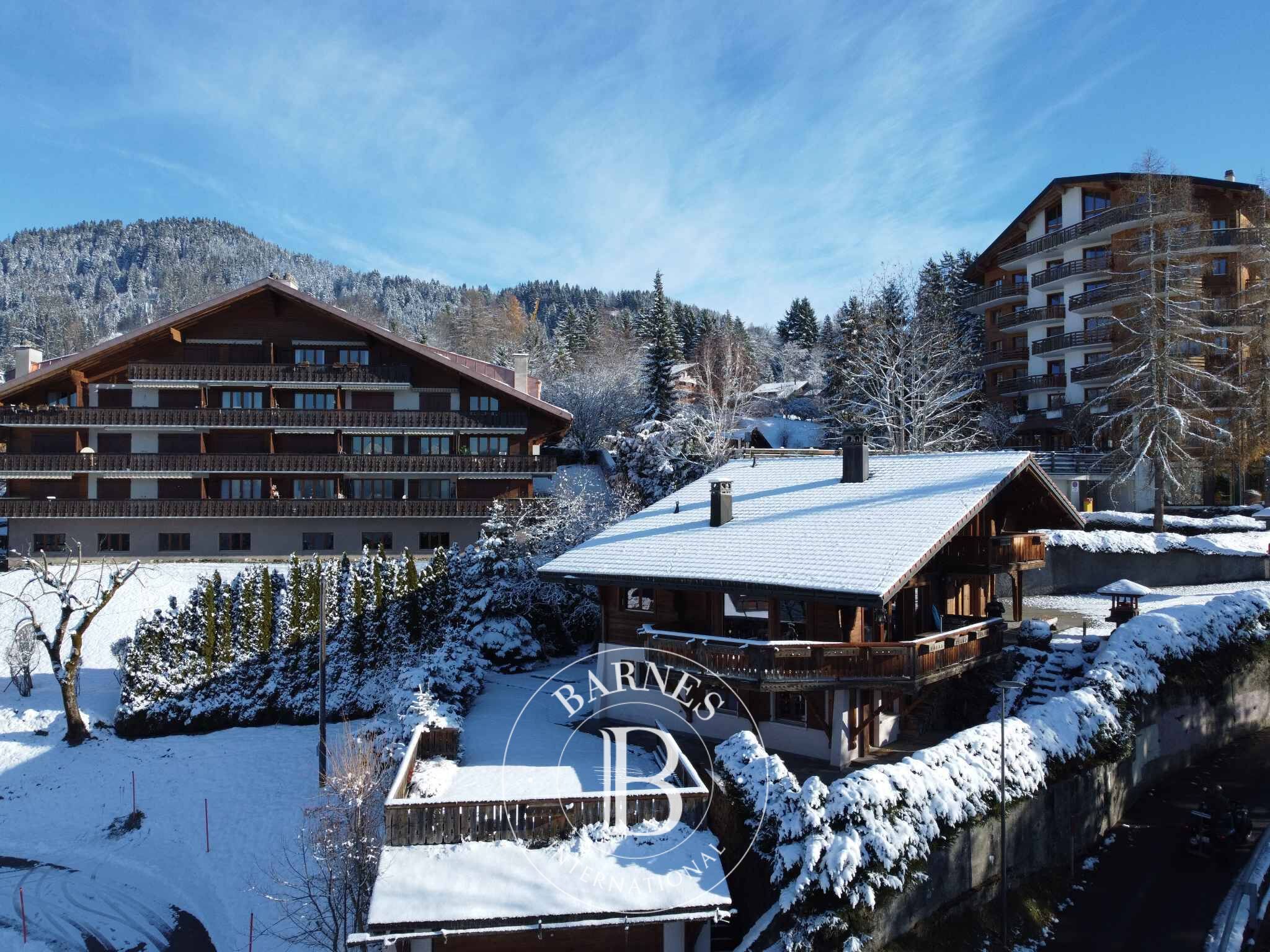 Villa Villars-sur-Ollon - picture 30