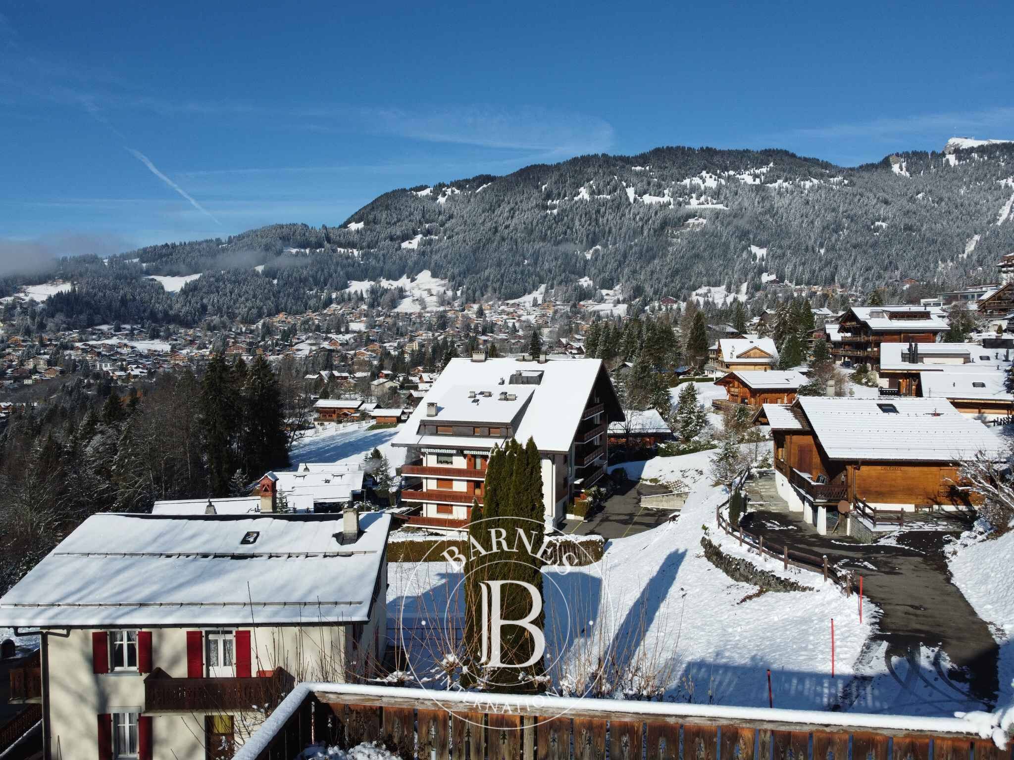 Villa Villars-sur-Ollon - picture 5