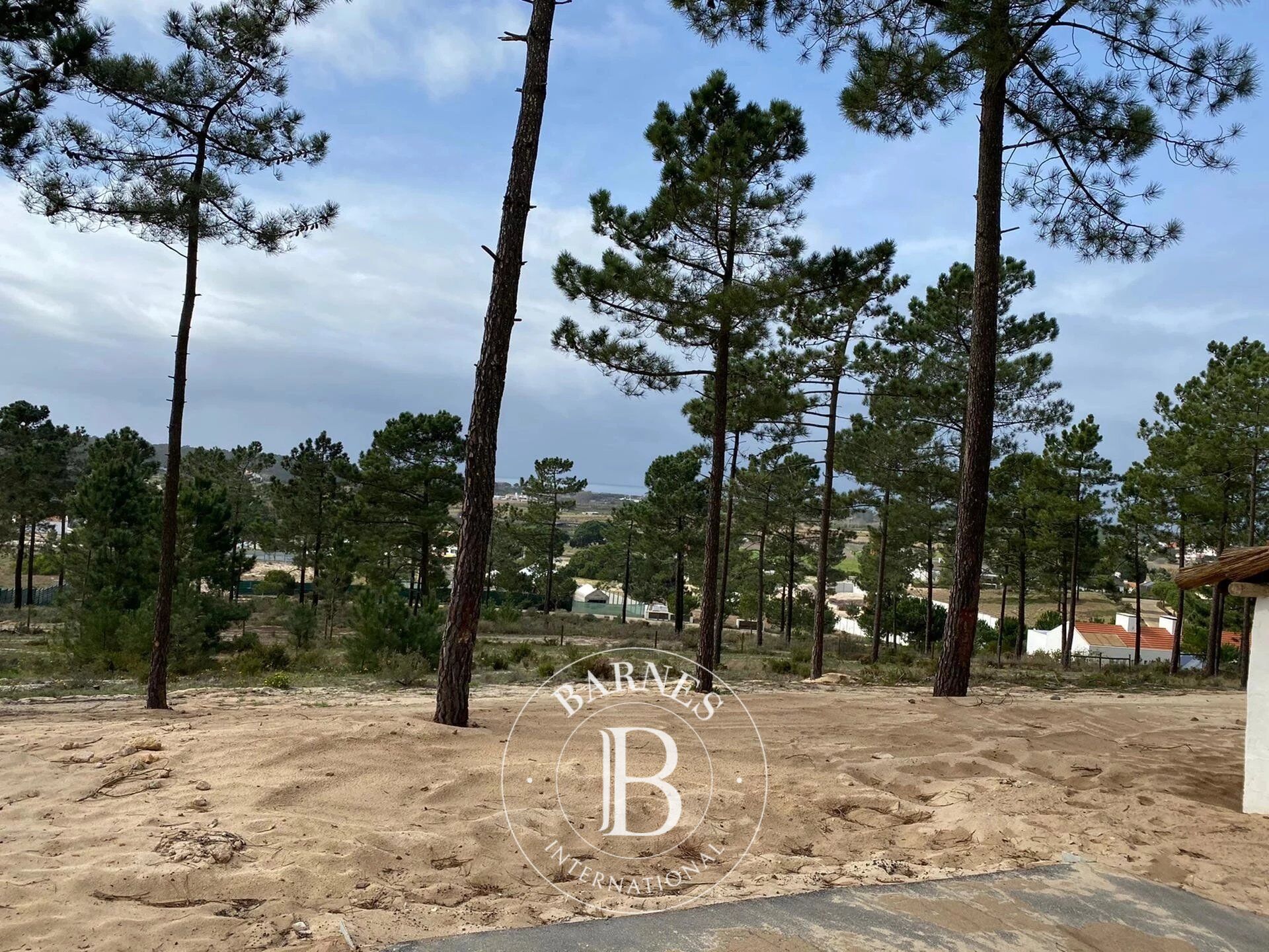 Plot of Land in Comporta - picture 3