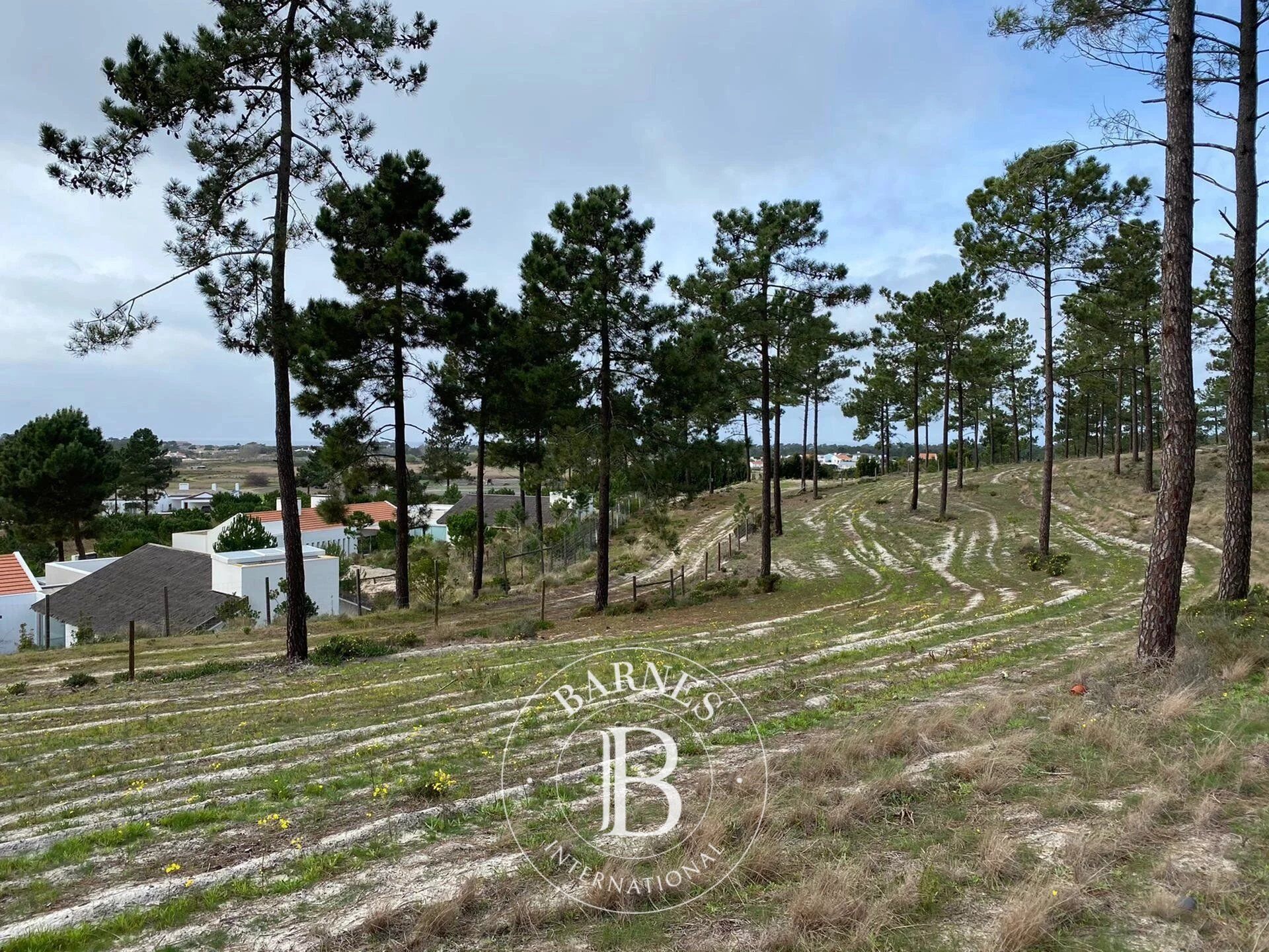 Plot of Land in Comporta - picture 1