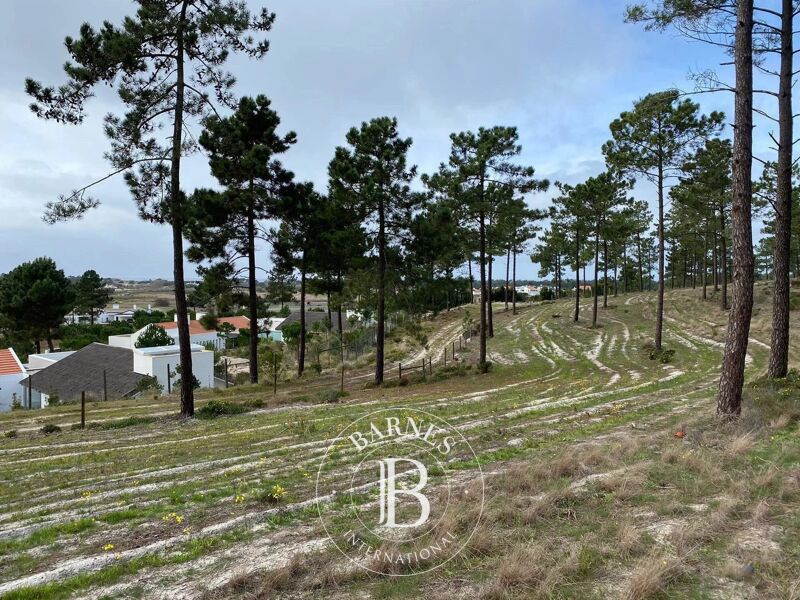 For Sale Plot of land | Carvalhal - picture 1