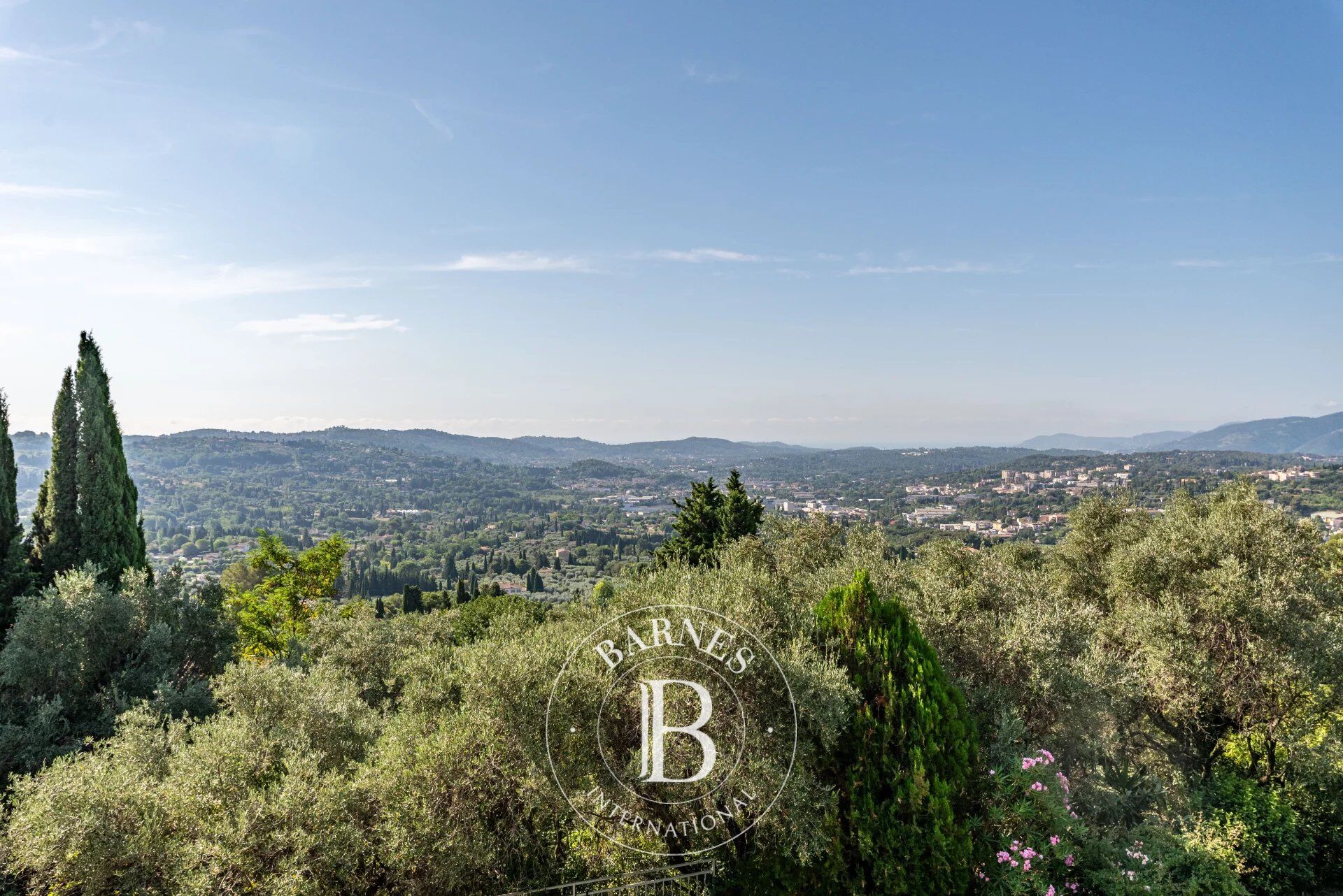 Ev Grasse - picture 13