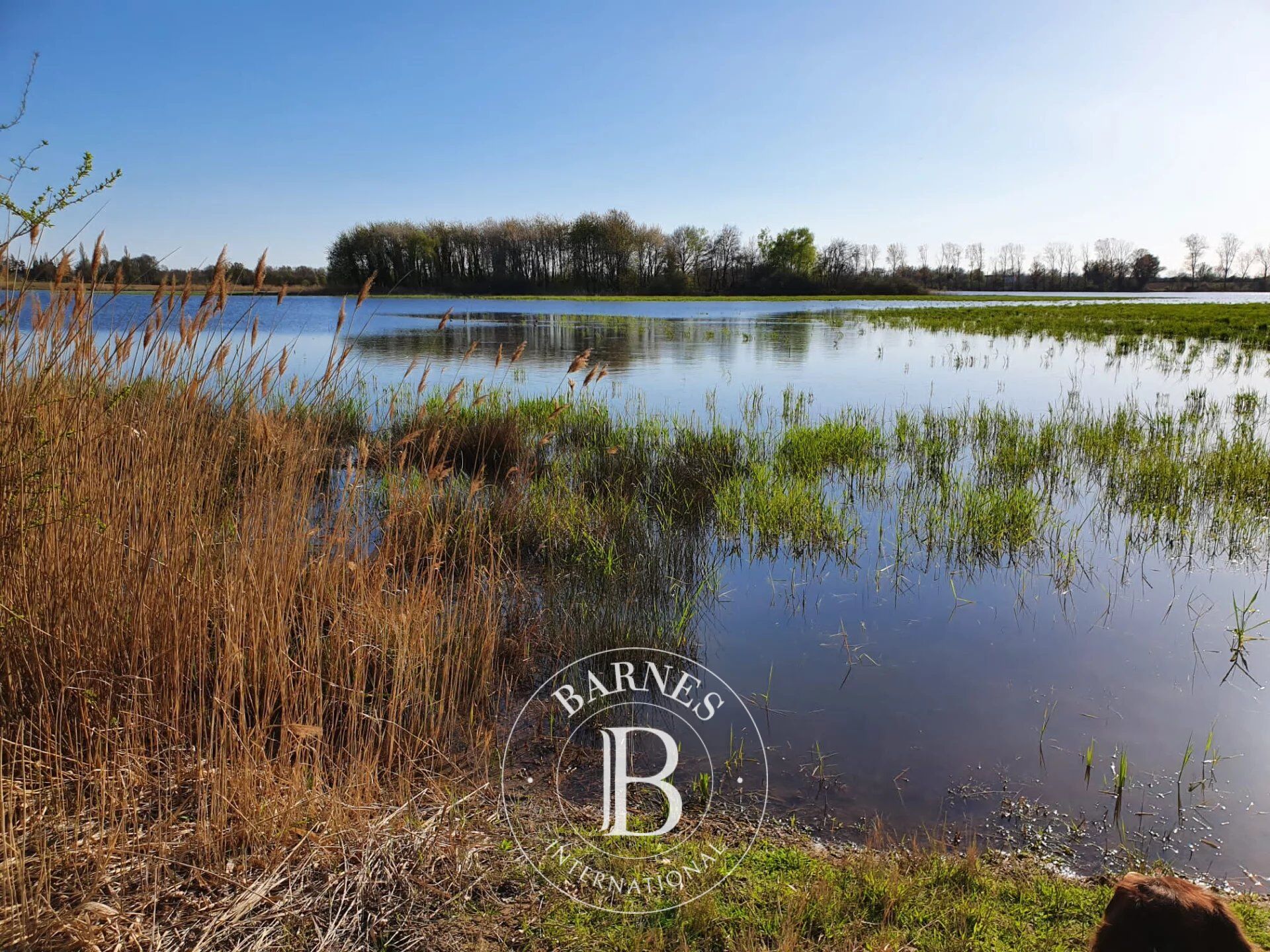 Finca Lapeyrouse - picture 2