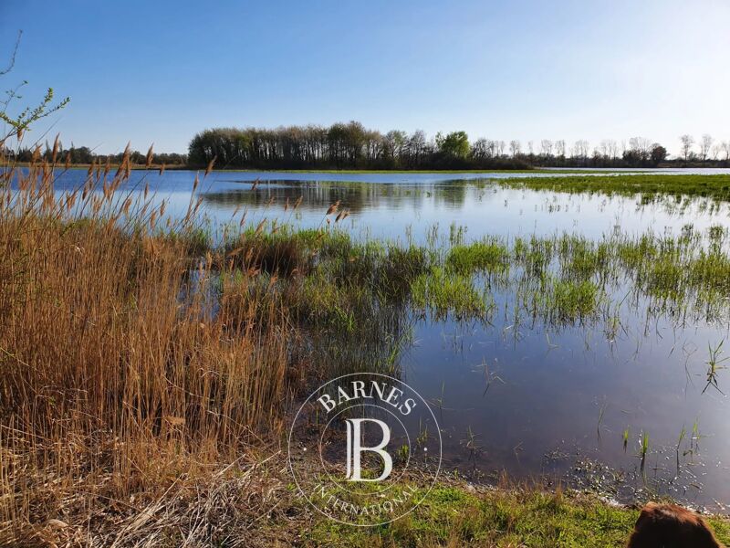 À vendre Propriété | Lapeyrouse - picture 2