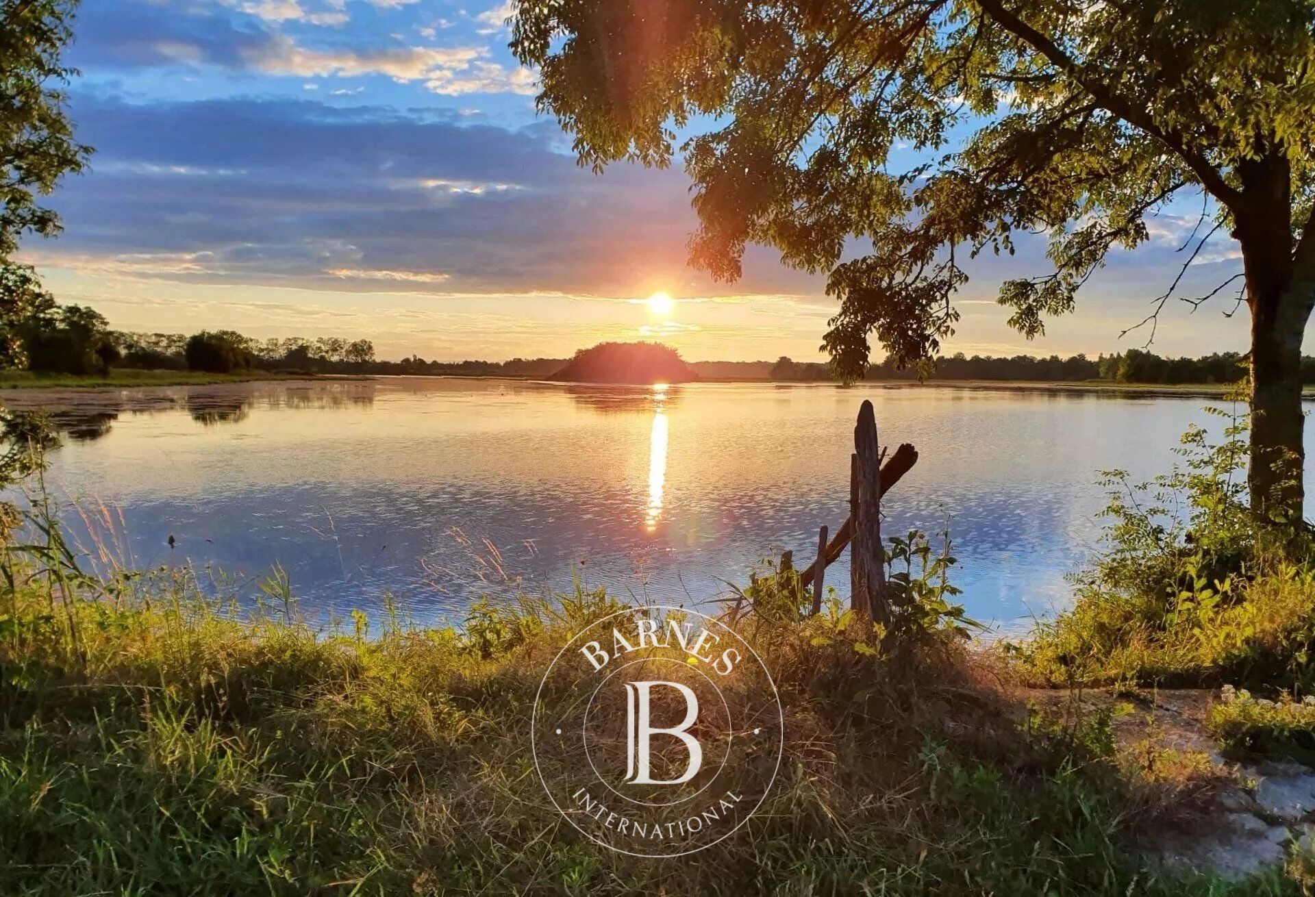 Finca Lapeyrouse - picture 1