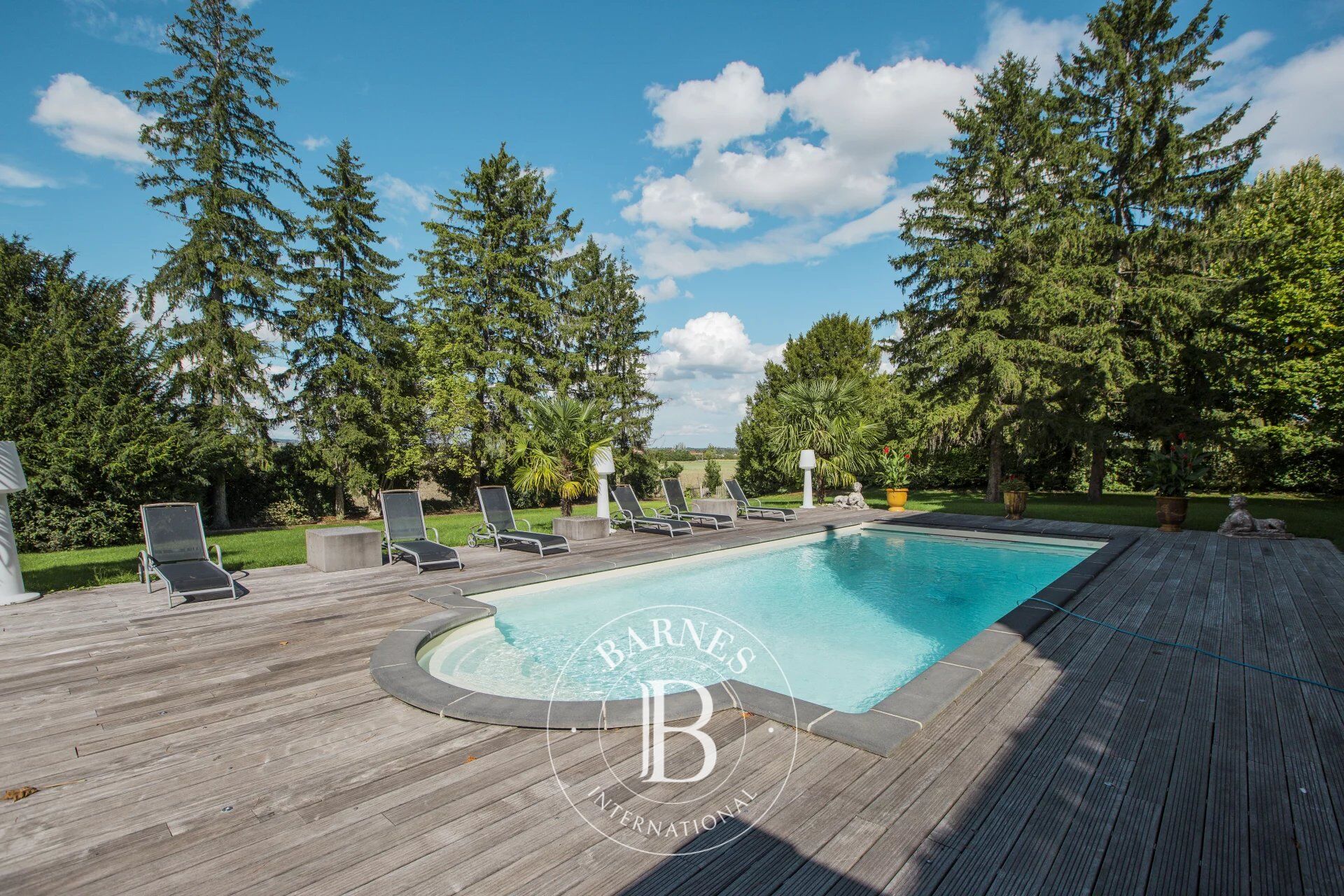 Castillo Cellule - picture 3