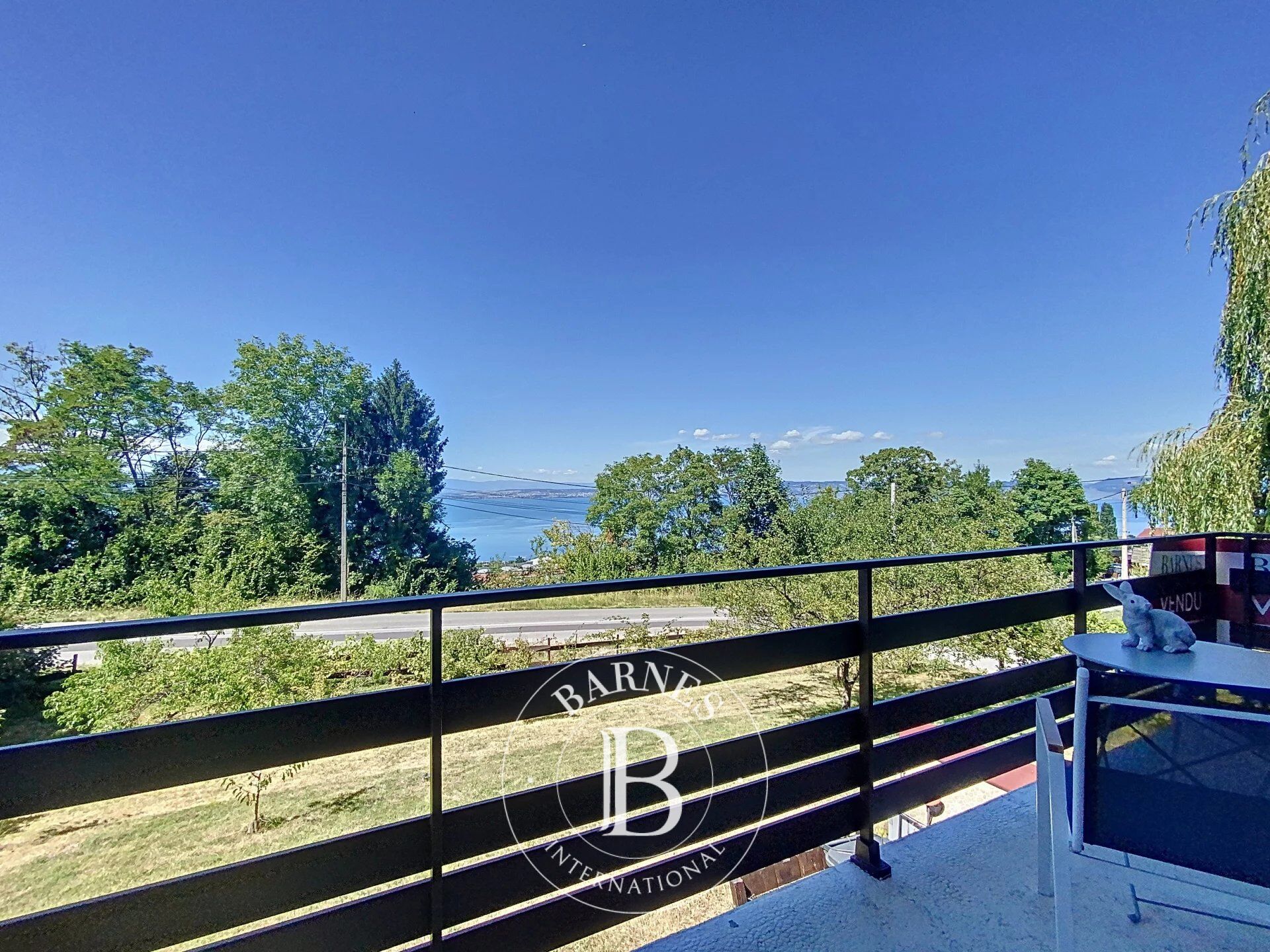 Ev Évian-les-Bains - picture 15