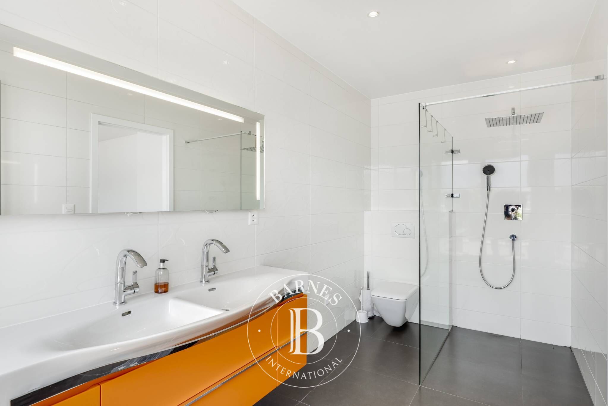 Penthouse Montreux - picture 9