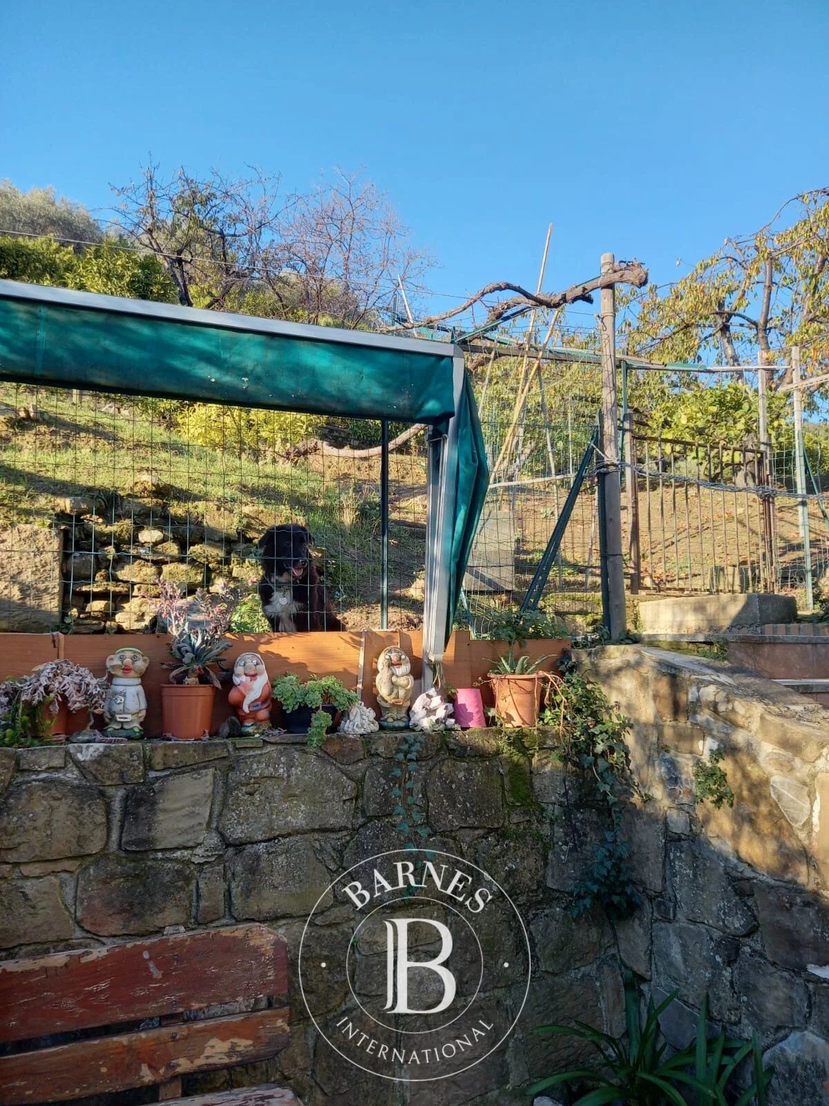 Villa Dolceacqua - picture 10