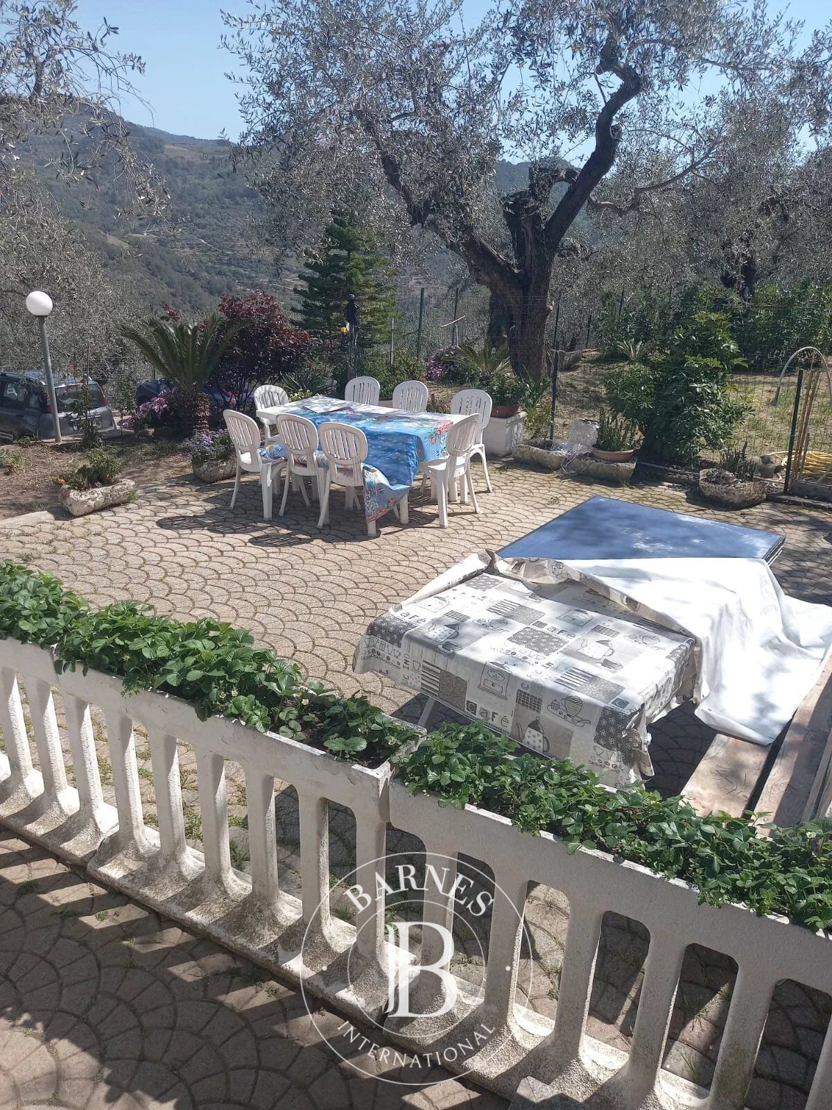 Villa Dolceacqua - picture 9