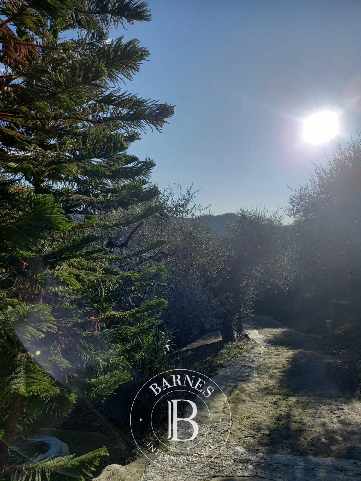 Villa Dolceacqua - picture 4