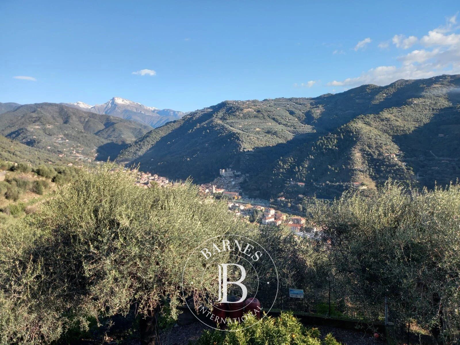 Villa Dolceacqua - picture 15