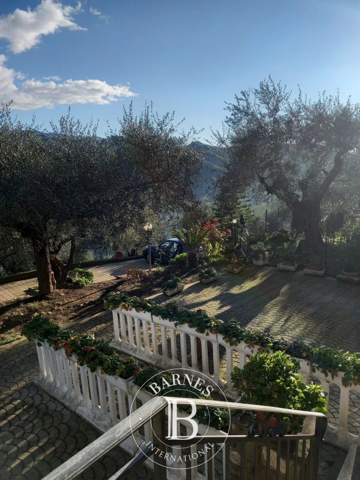 Villa Dolceacqua - picture 7