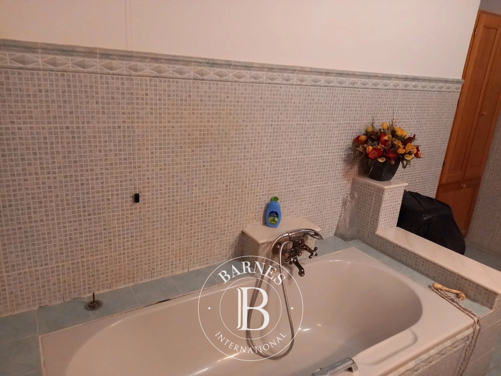 Villa Dolceacqua - picture 27