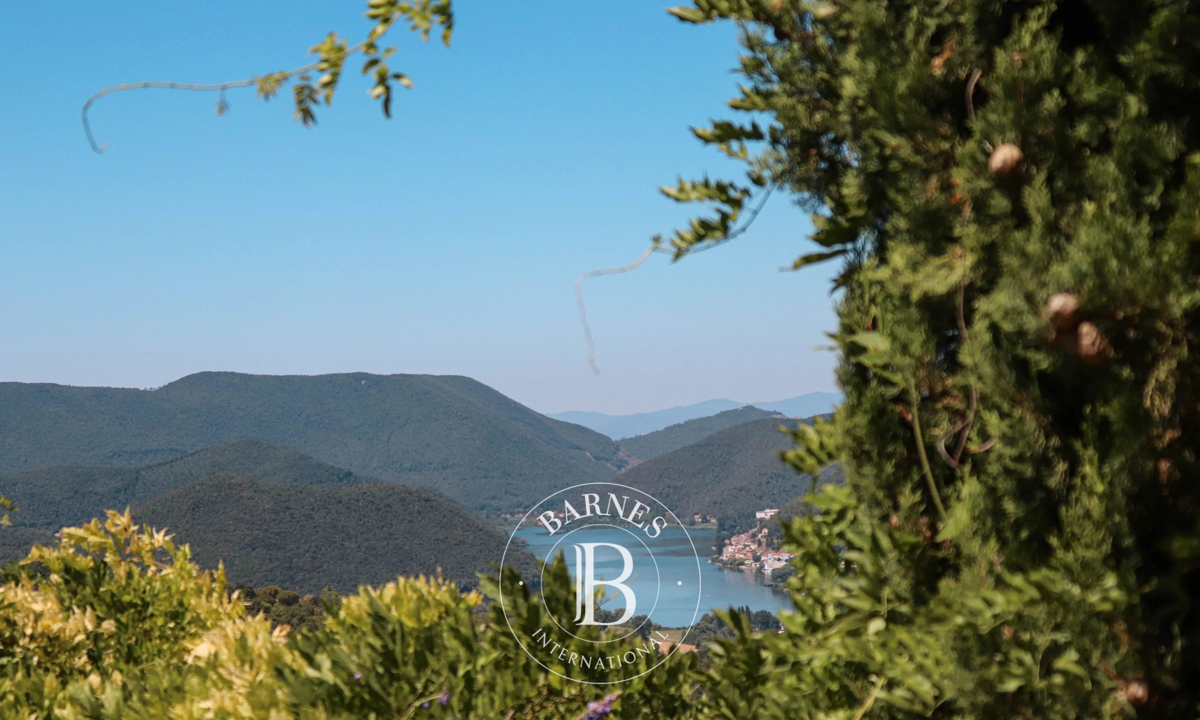 Villa Rieti - picture 5