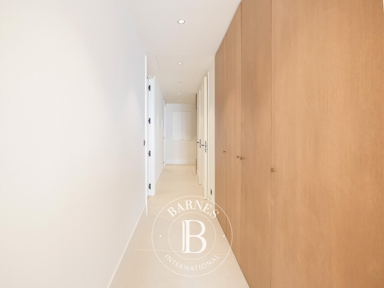 Daire Monaco - picture 11