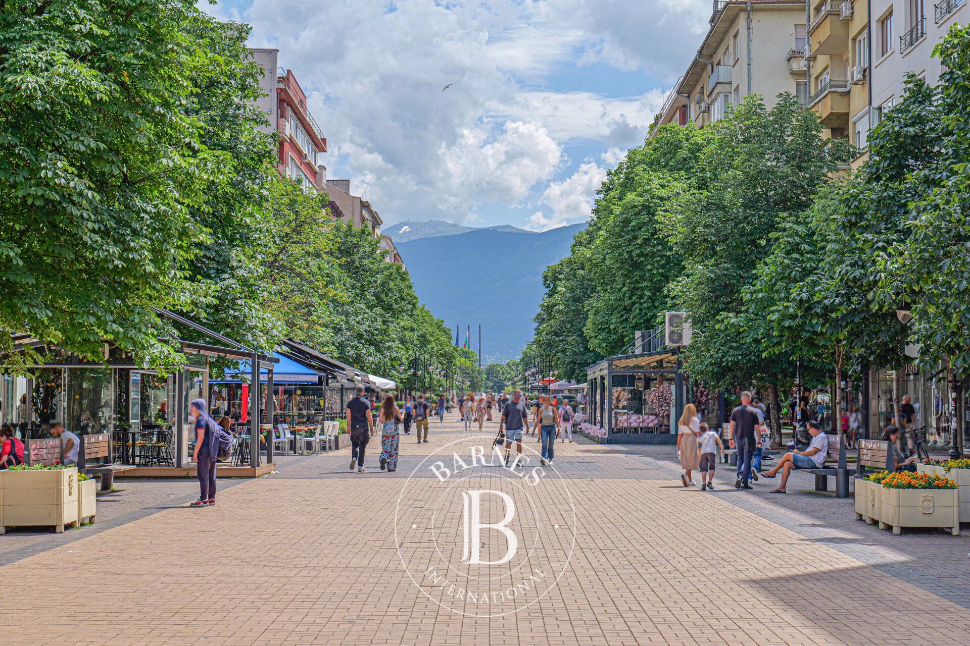 Isyeri Sofia - picture 29