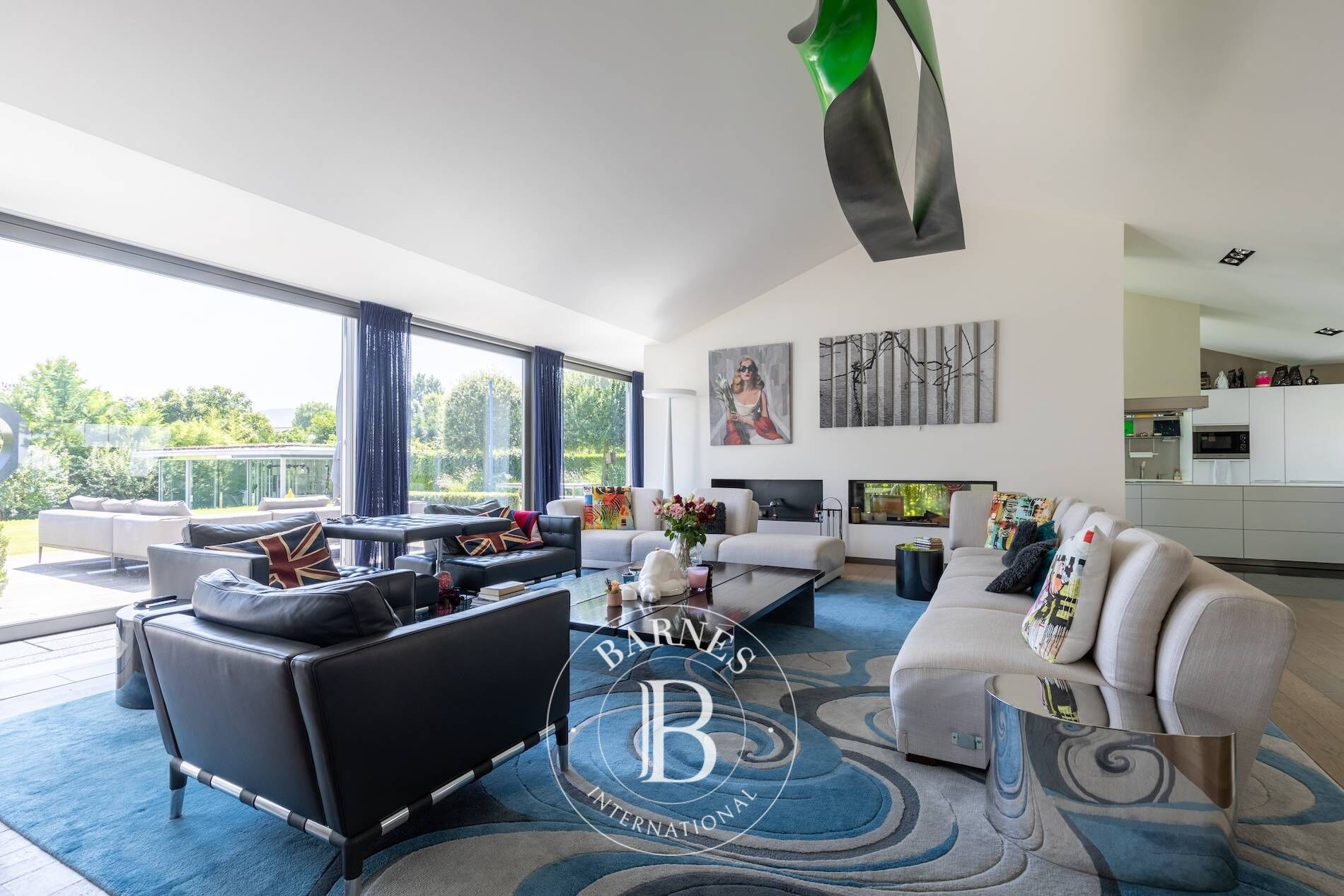 Villa Vandoeuvres - picture 4