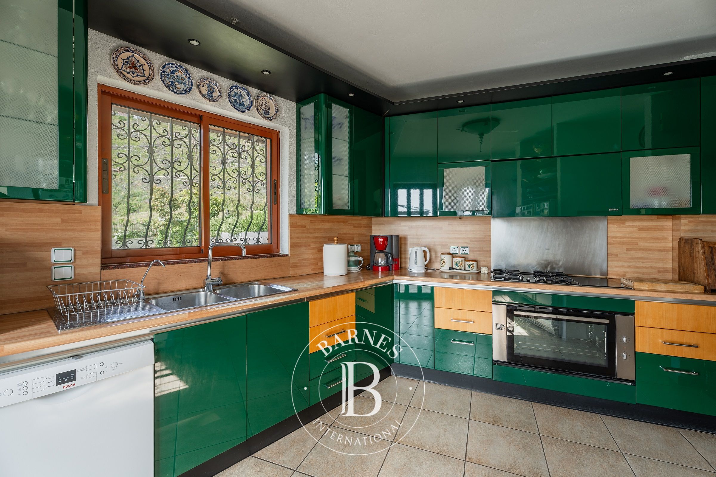 Ev Afidnes - picture 9