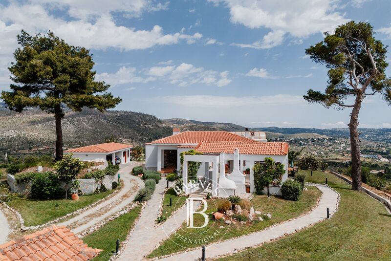 Résidence Charmante - Afidnes, Attique