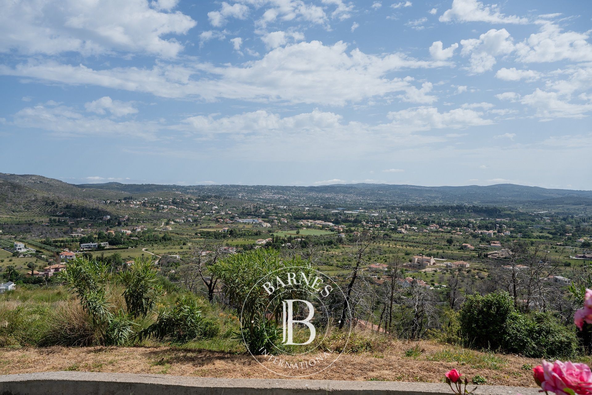 Ev Afidnes - picture 19