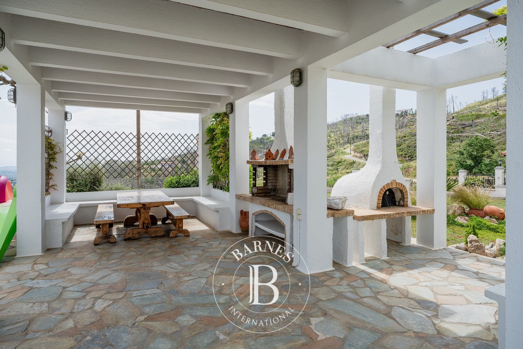 Ev Afidnes - picture 21