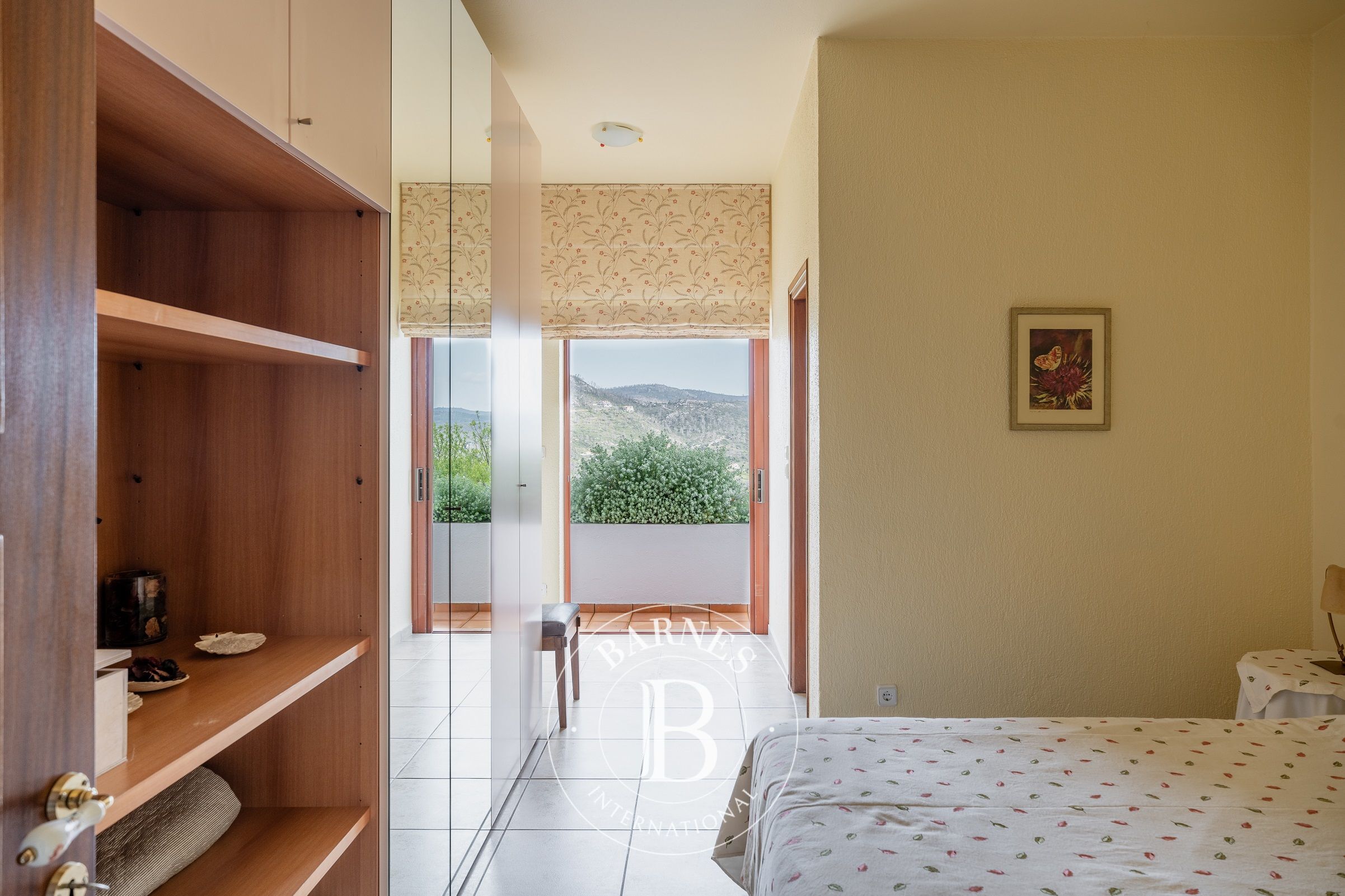 Ev Afidnes - picture 11