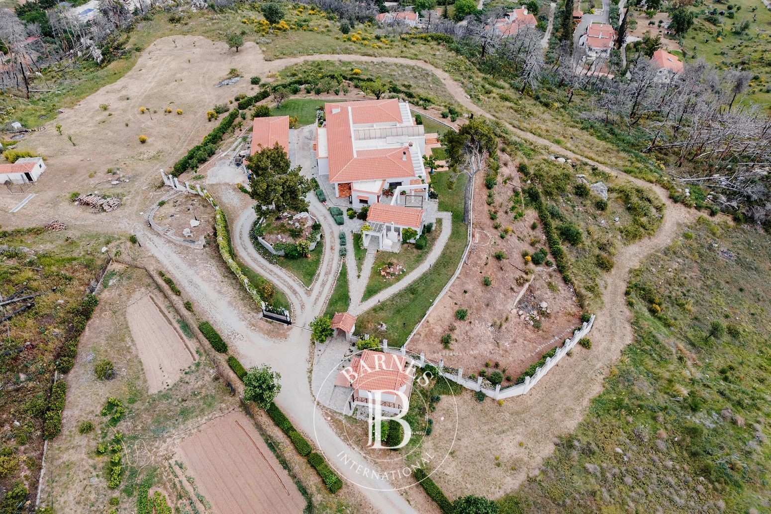 Ev Afidnes - picture 25