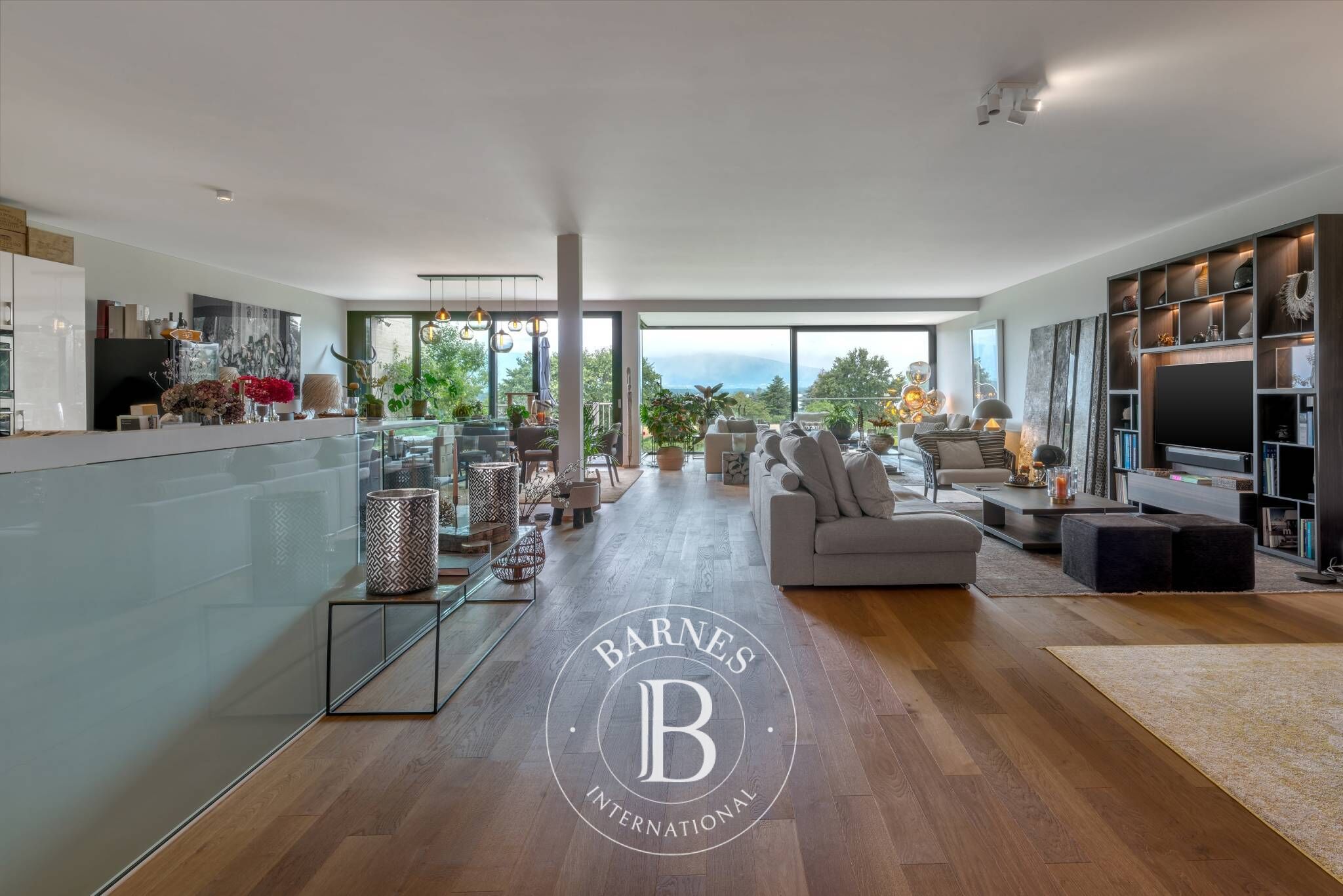 Daire Corsier - picture 8