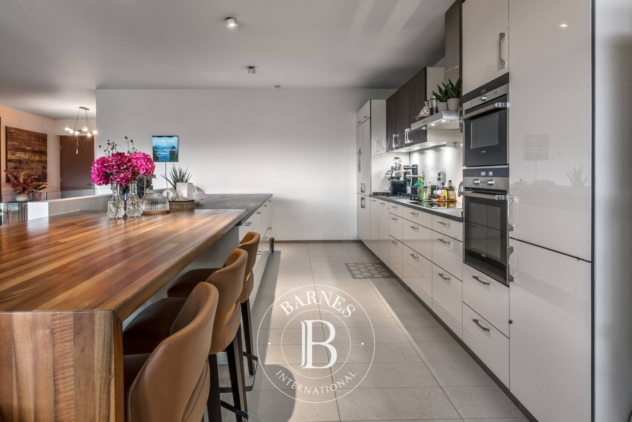 Daire Corsier - picture 5