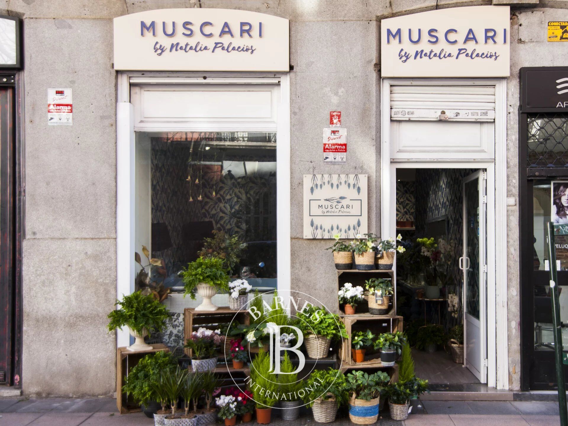 Daire Madrid - picture 16