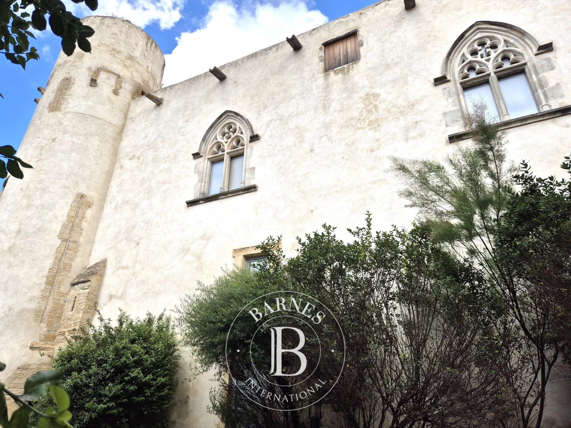 Castillo Mezel - picture 3