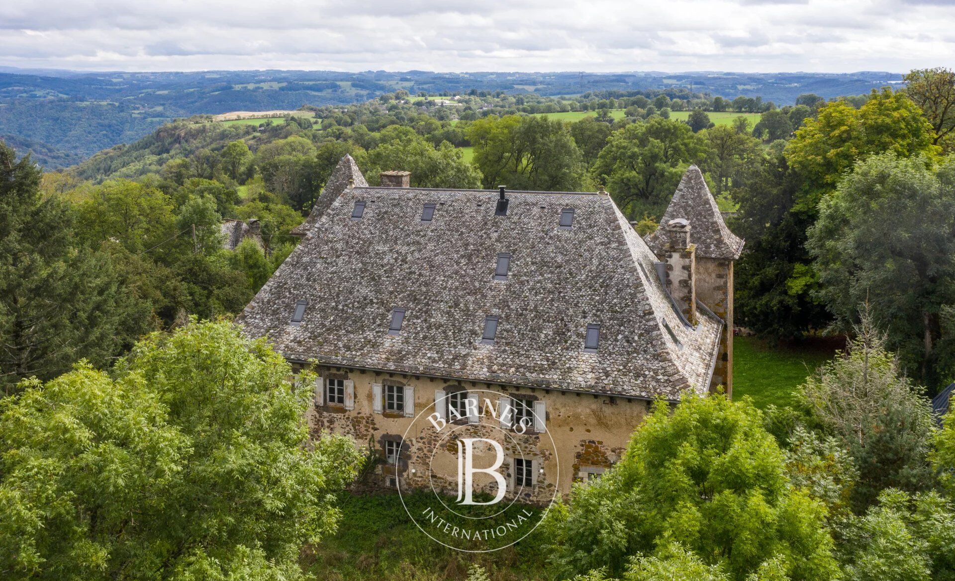 Exceptional Château at the Border of Cantal and Aveyron - picture 3